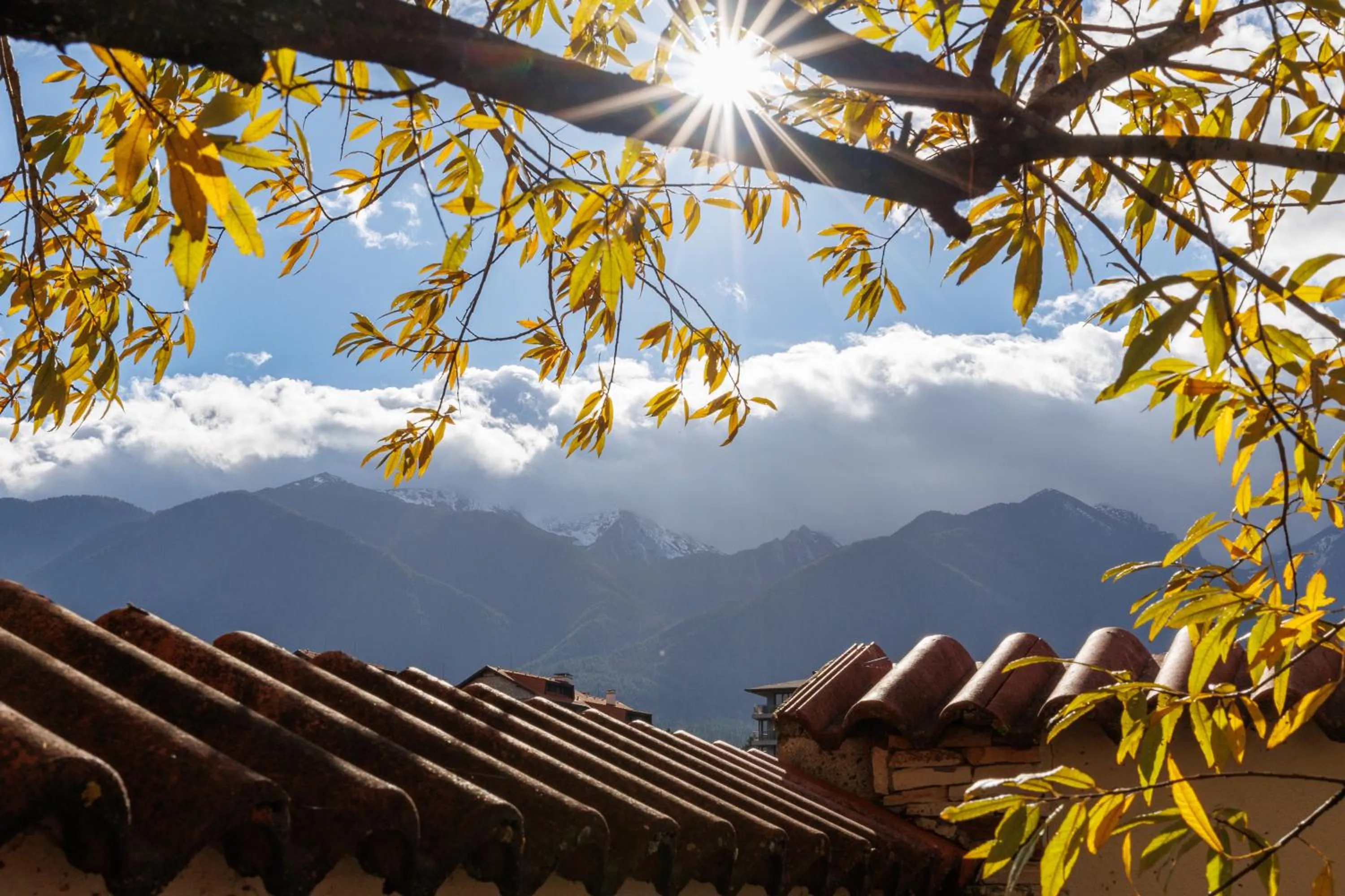 View (from property/room) in Green Wood Hotel & Spa