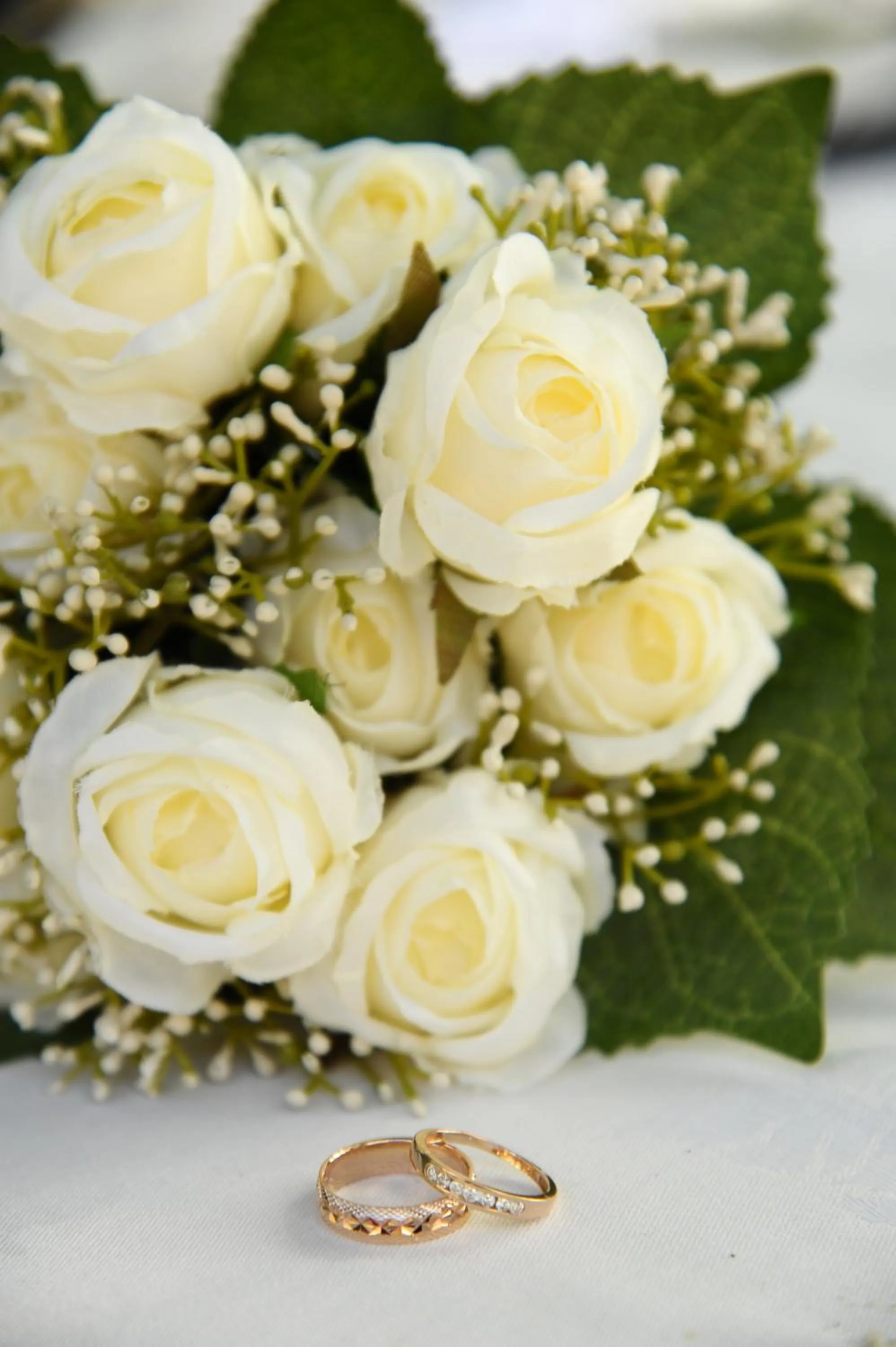 Other in Cerf Island Resort