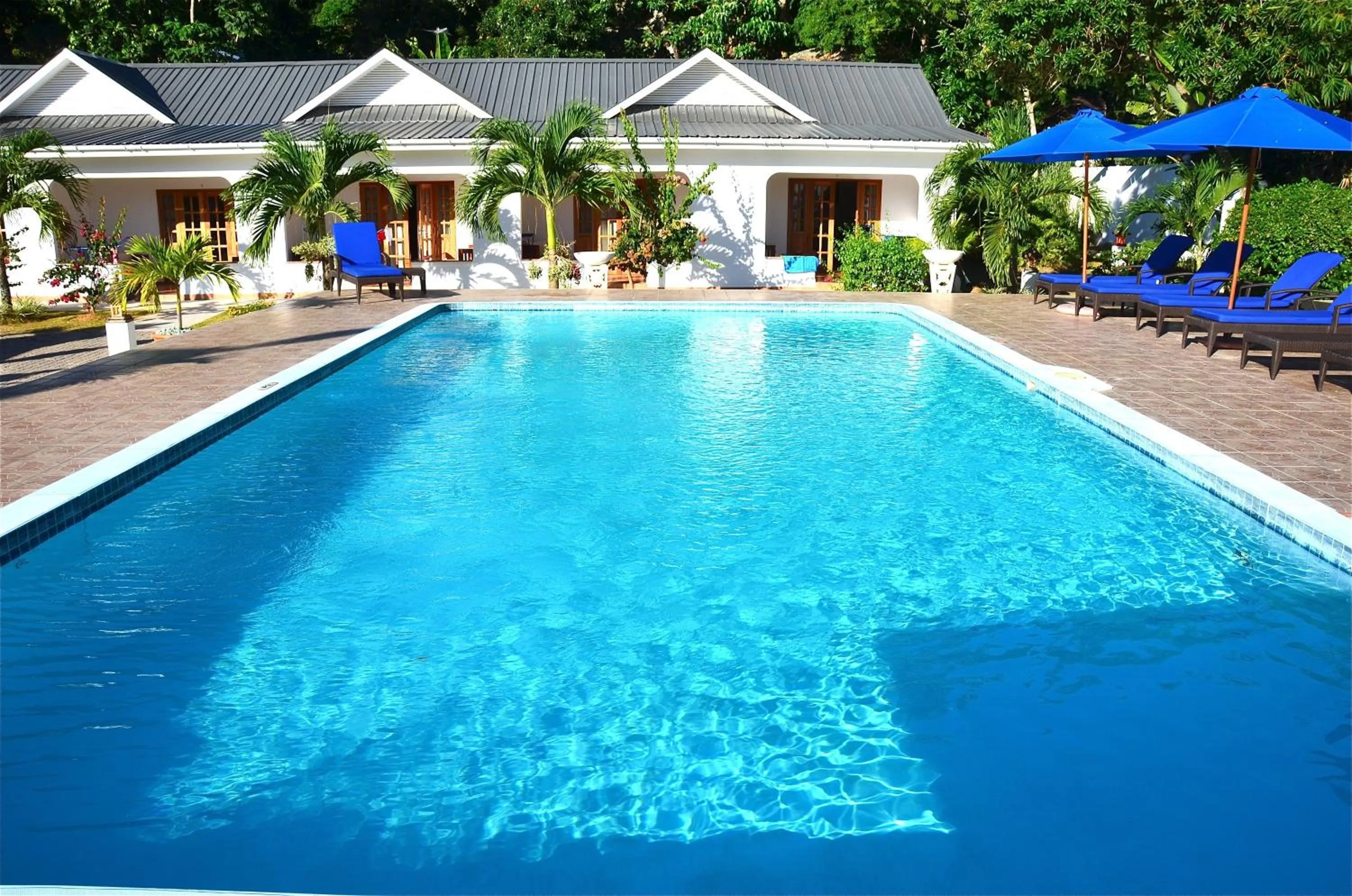 Pool view in Britannia Hotel