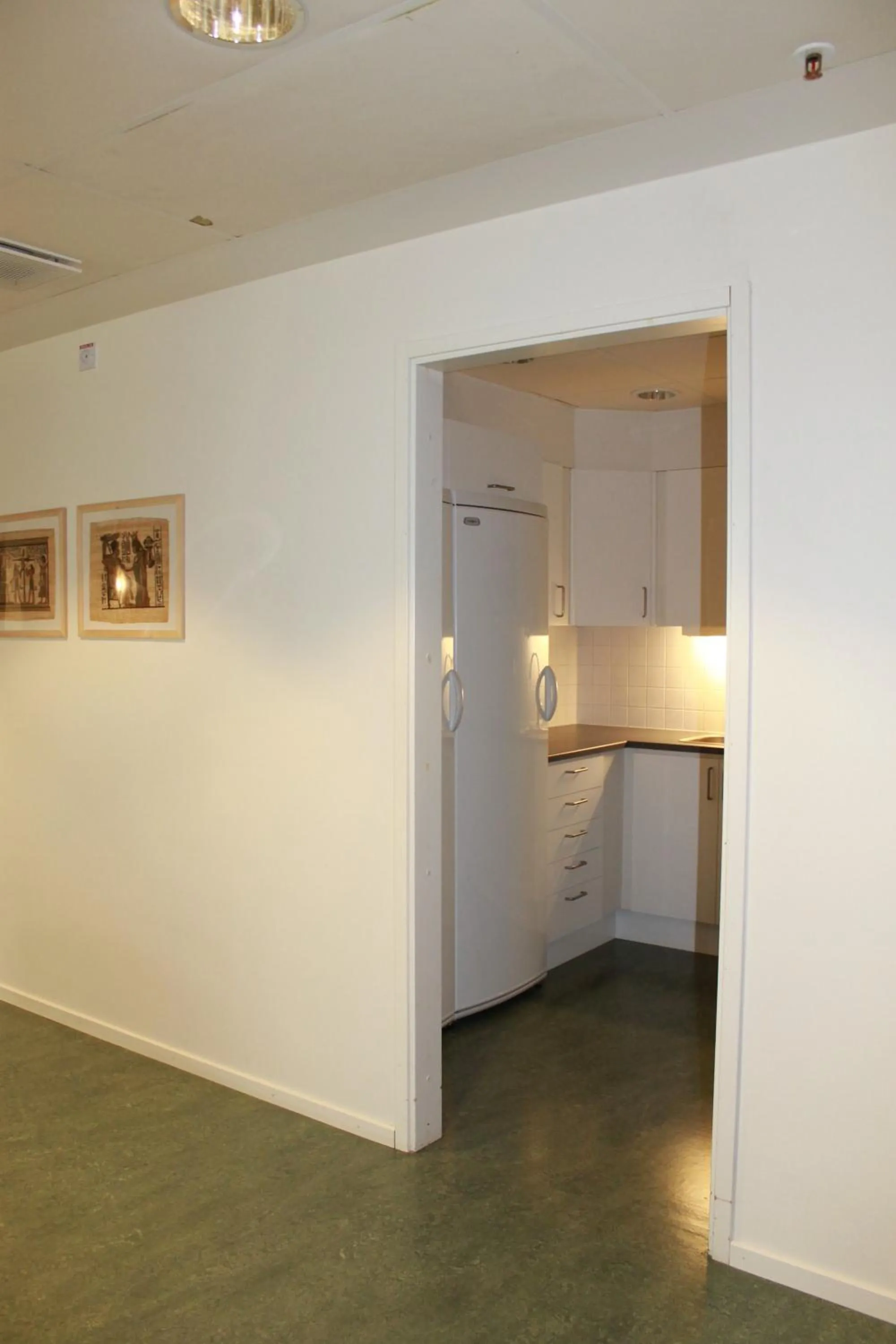 Kitchen or kitchenette in Pronova Hotell & Vandrarhem