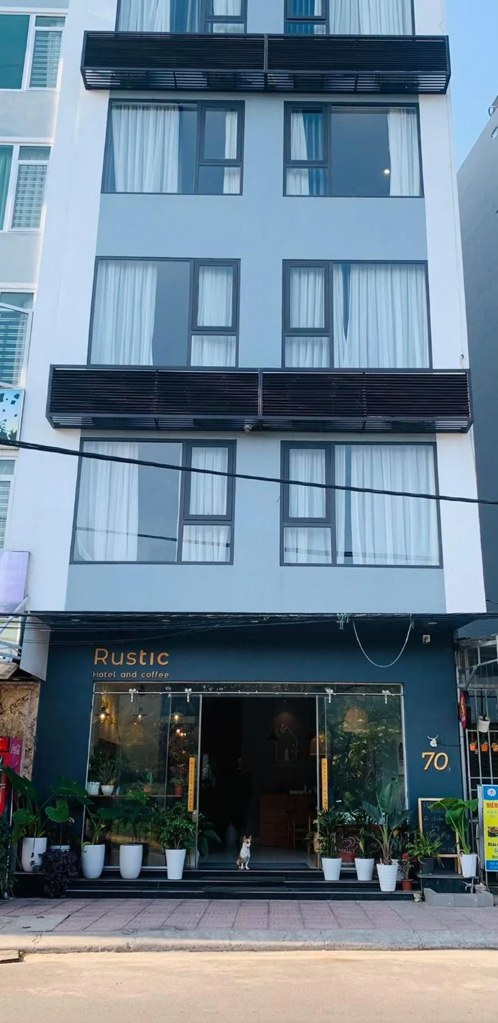 Property building in Rustic house