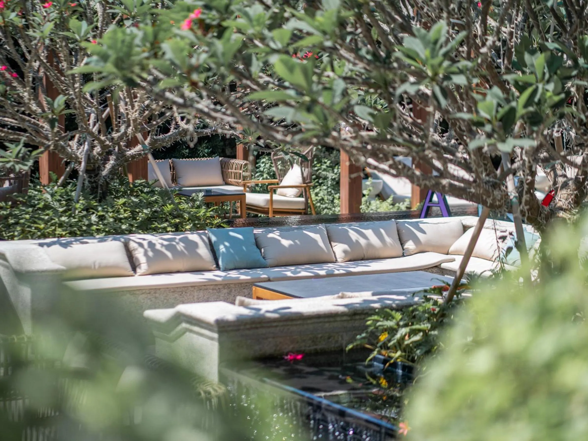 Garden in Andaz Xiamen, By Hyatt