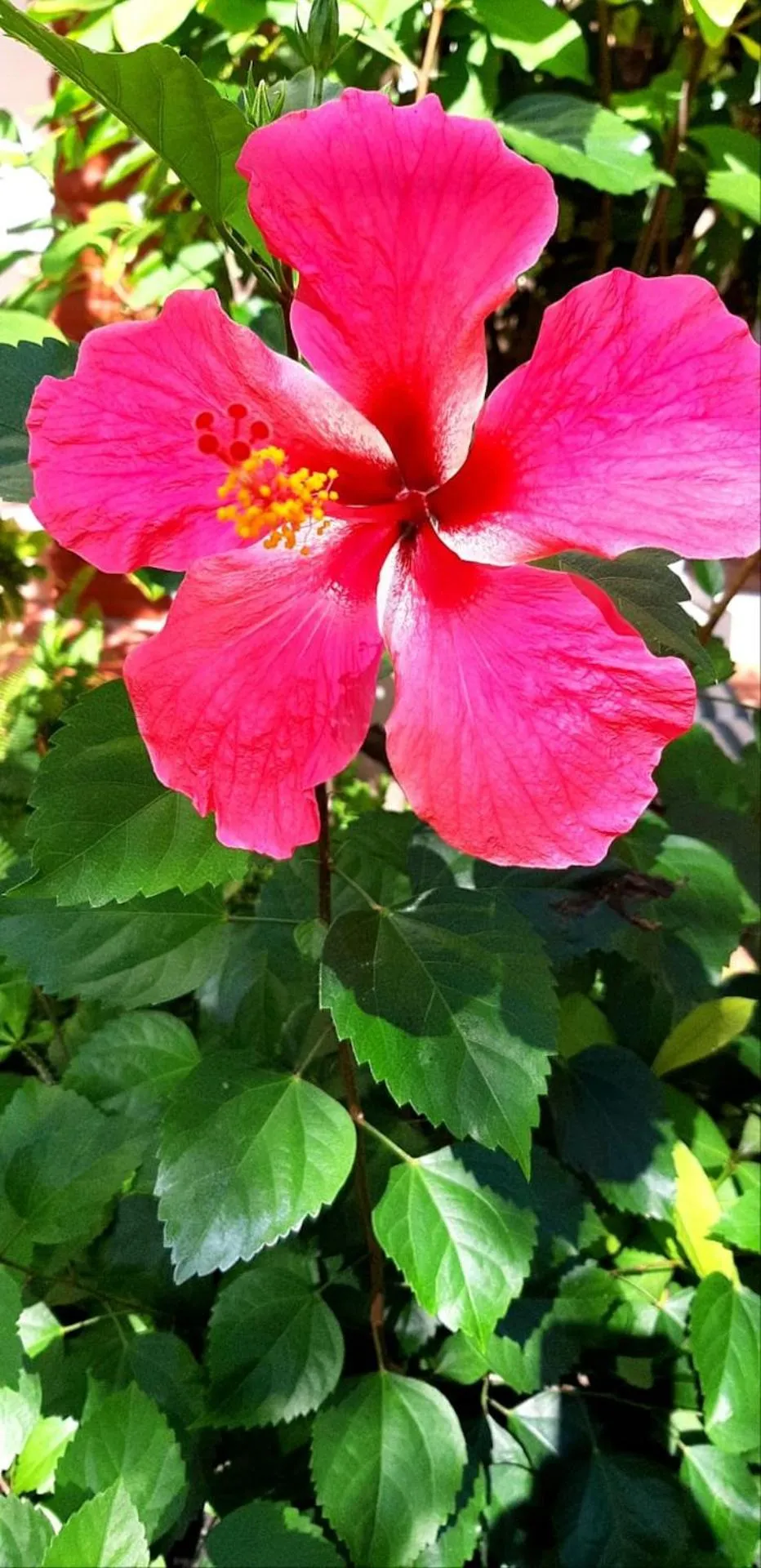 Property building in La Paloma Oceanfront Retreat