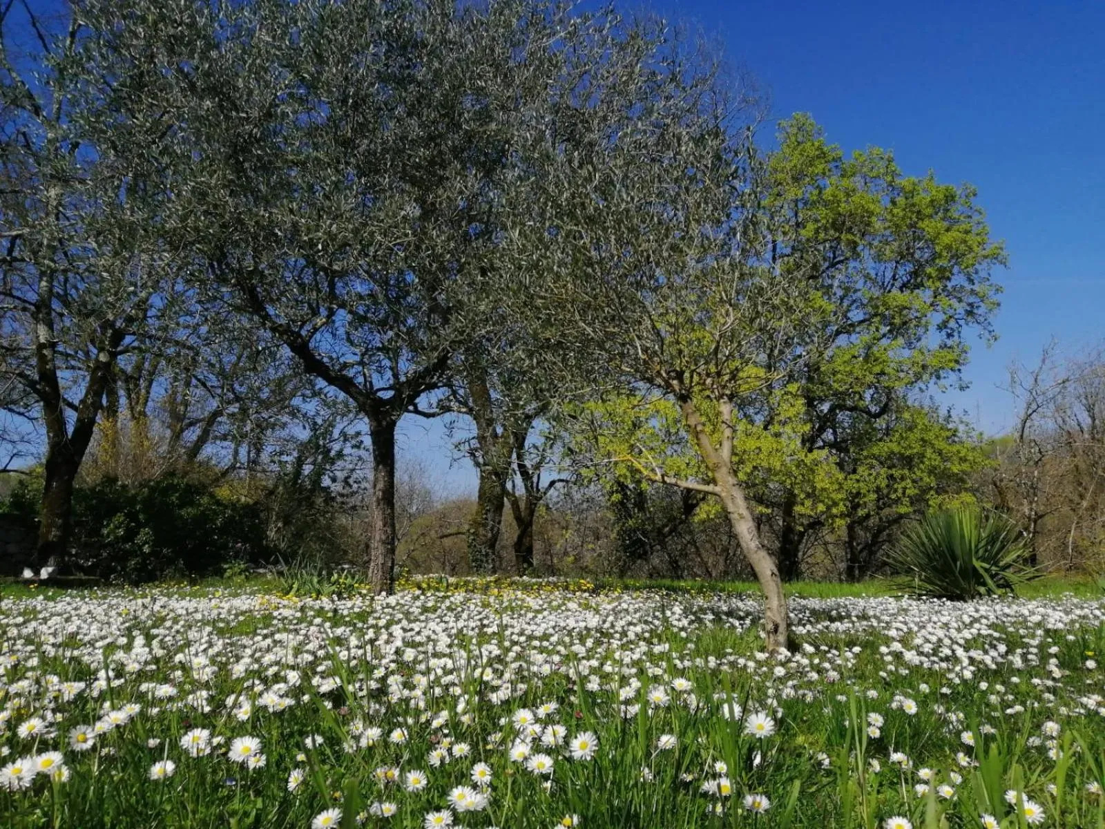 Natural landscape in Domaine de Séguéla
