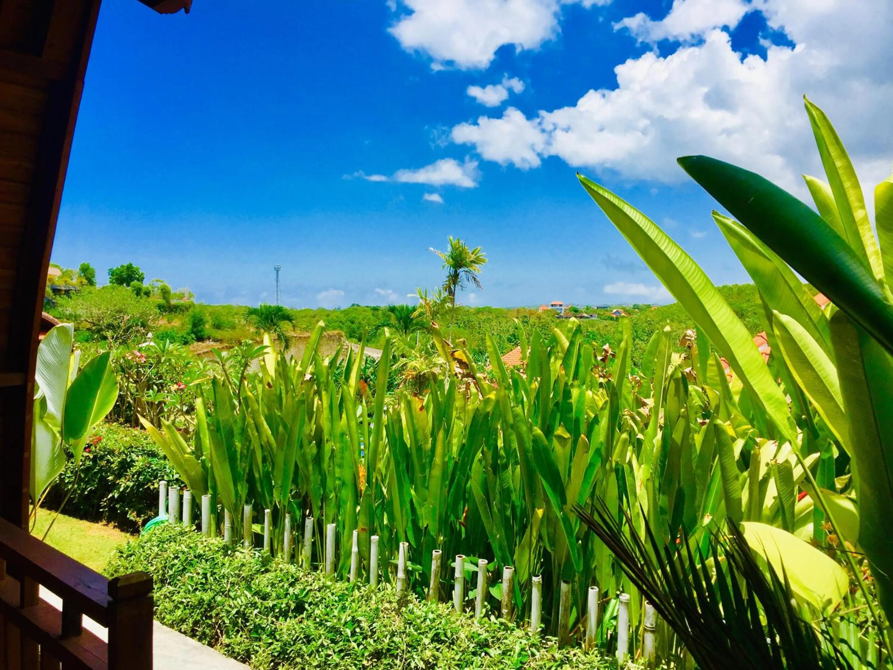 Garden in Druwa Bali