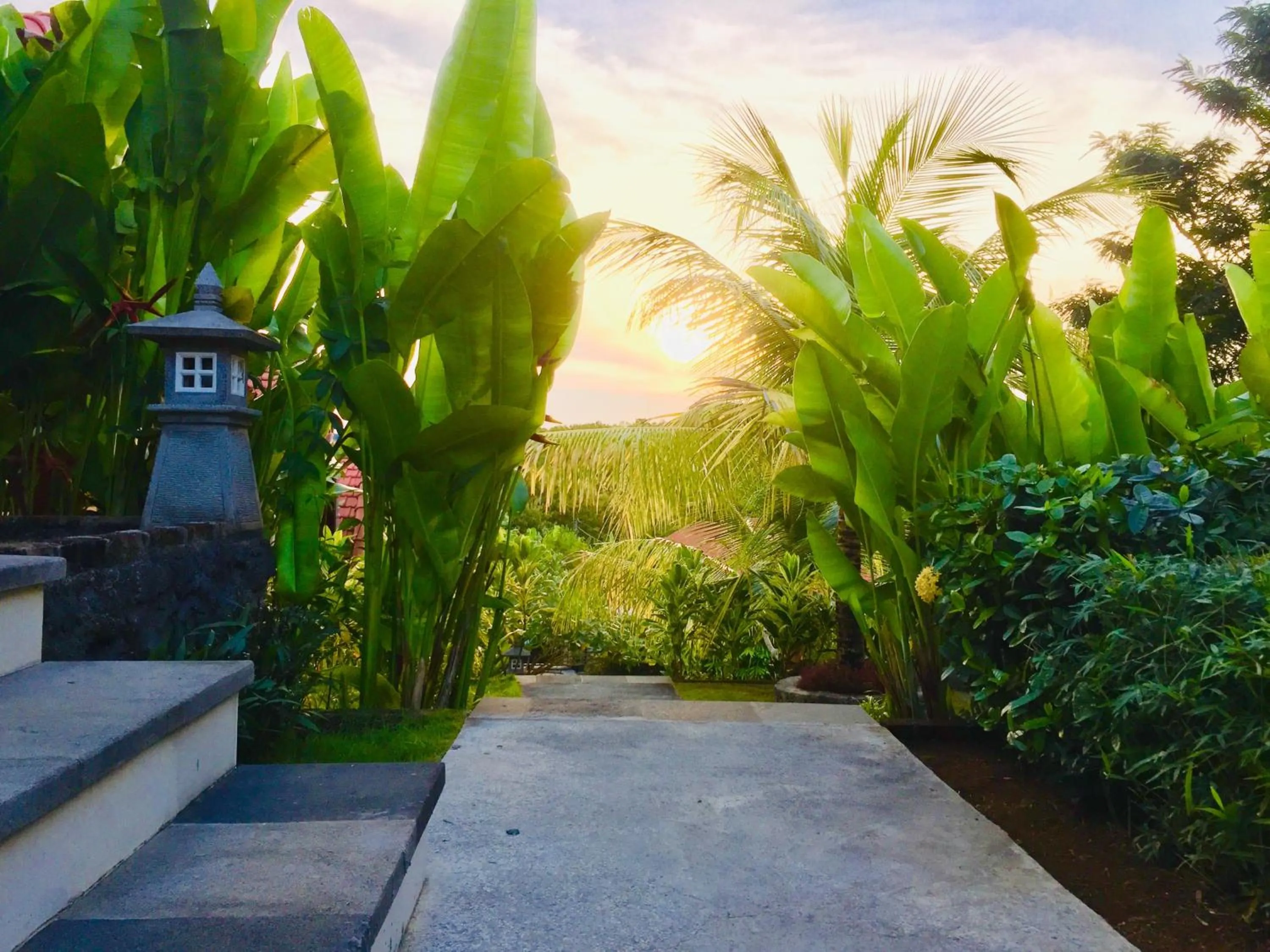 Garden in Druwa Bali