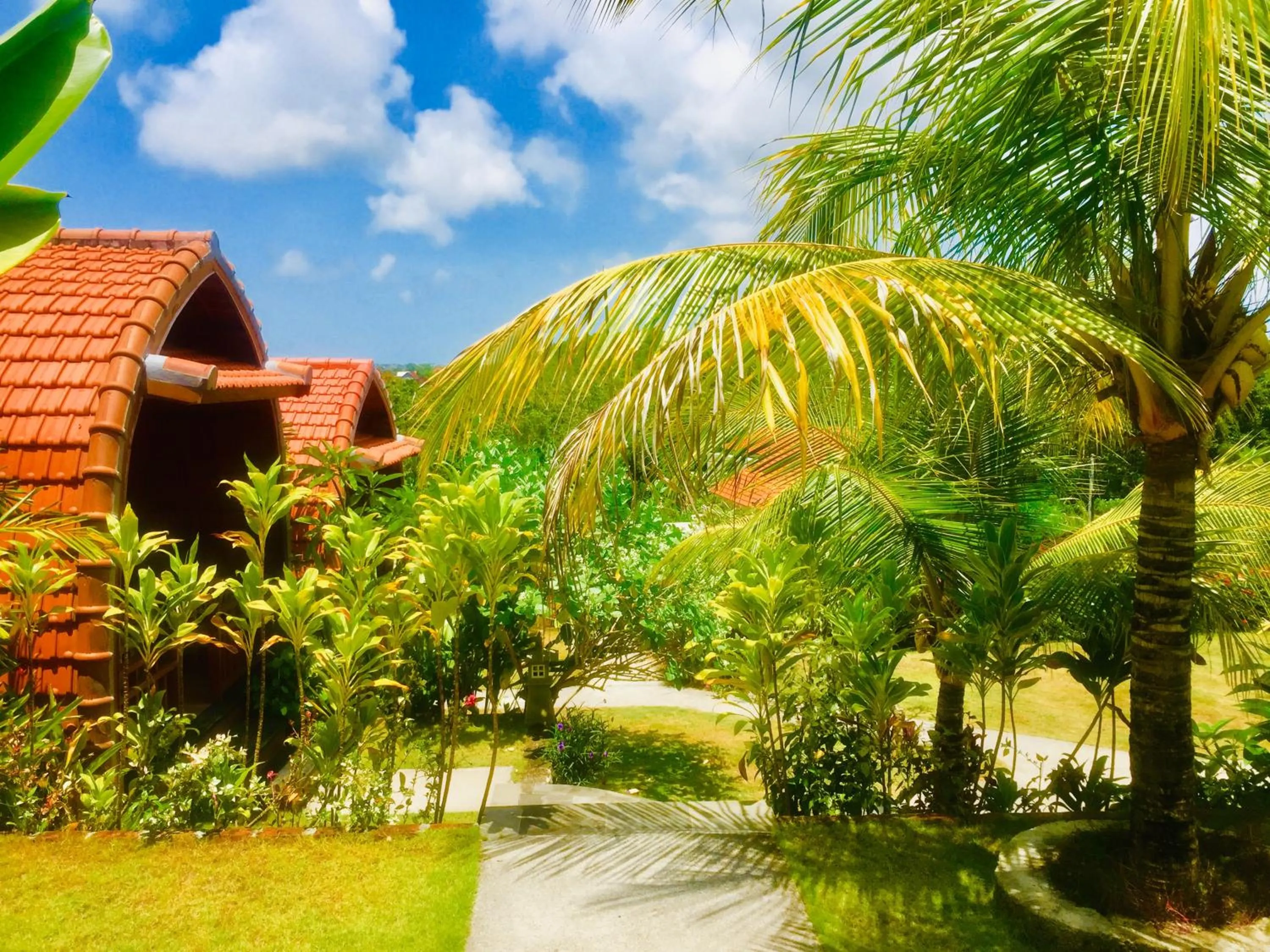 Property building in Druwa Bali