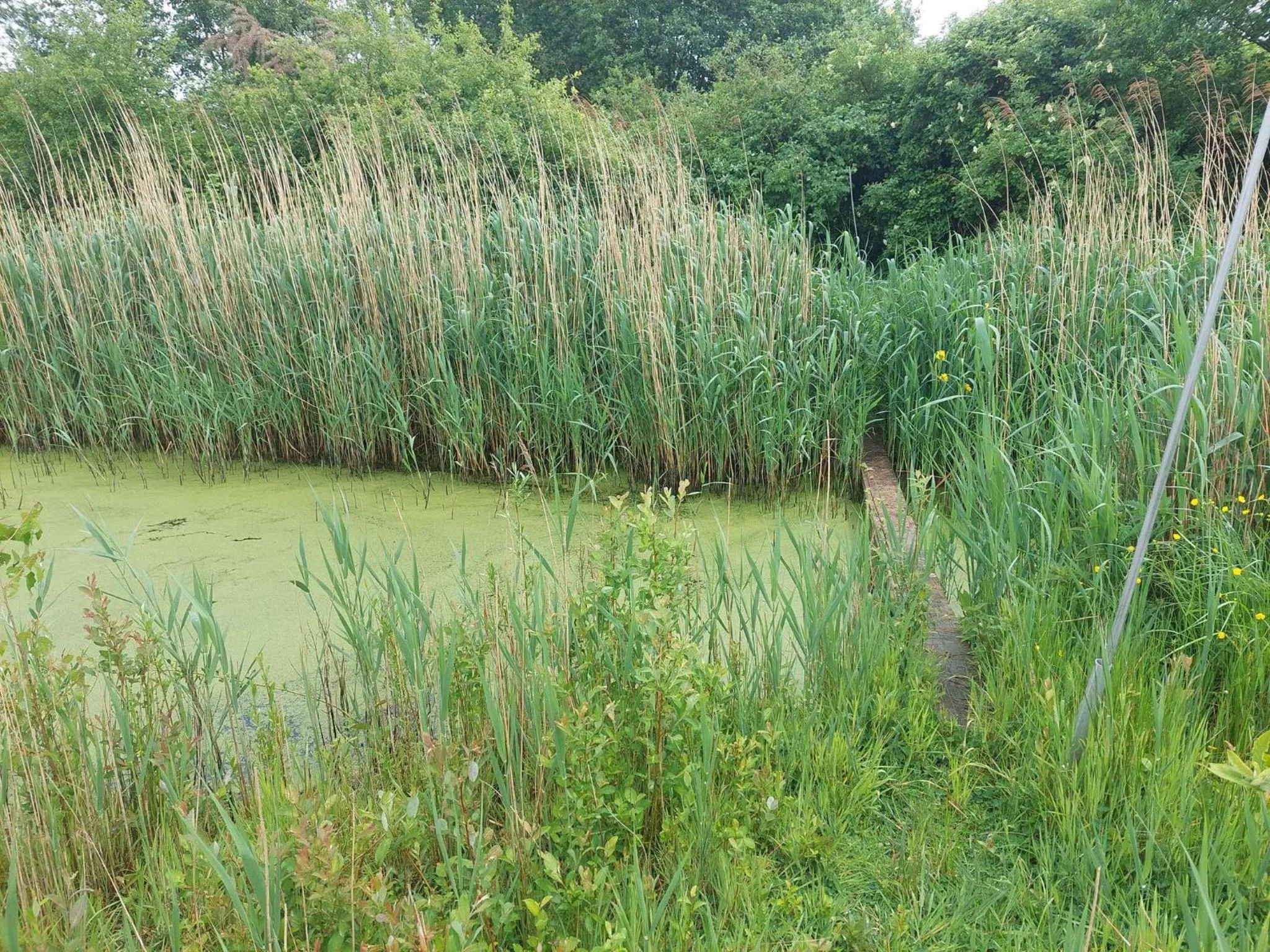 Natural landscape in B&B Clogher Farm