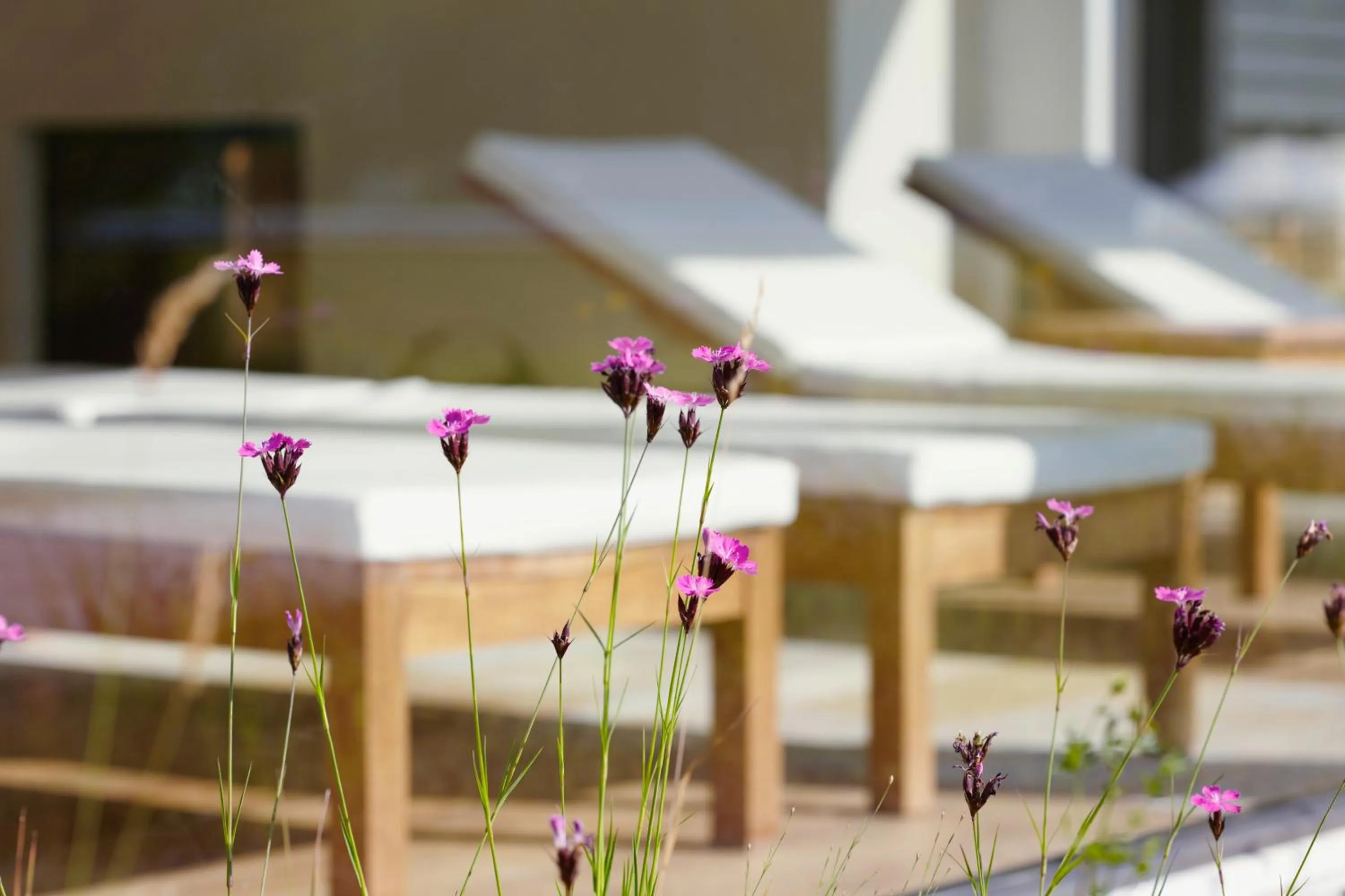 Balcony/Terrace in Wellness Hotel Stoos