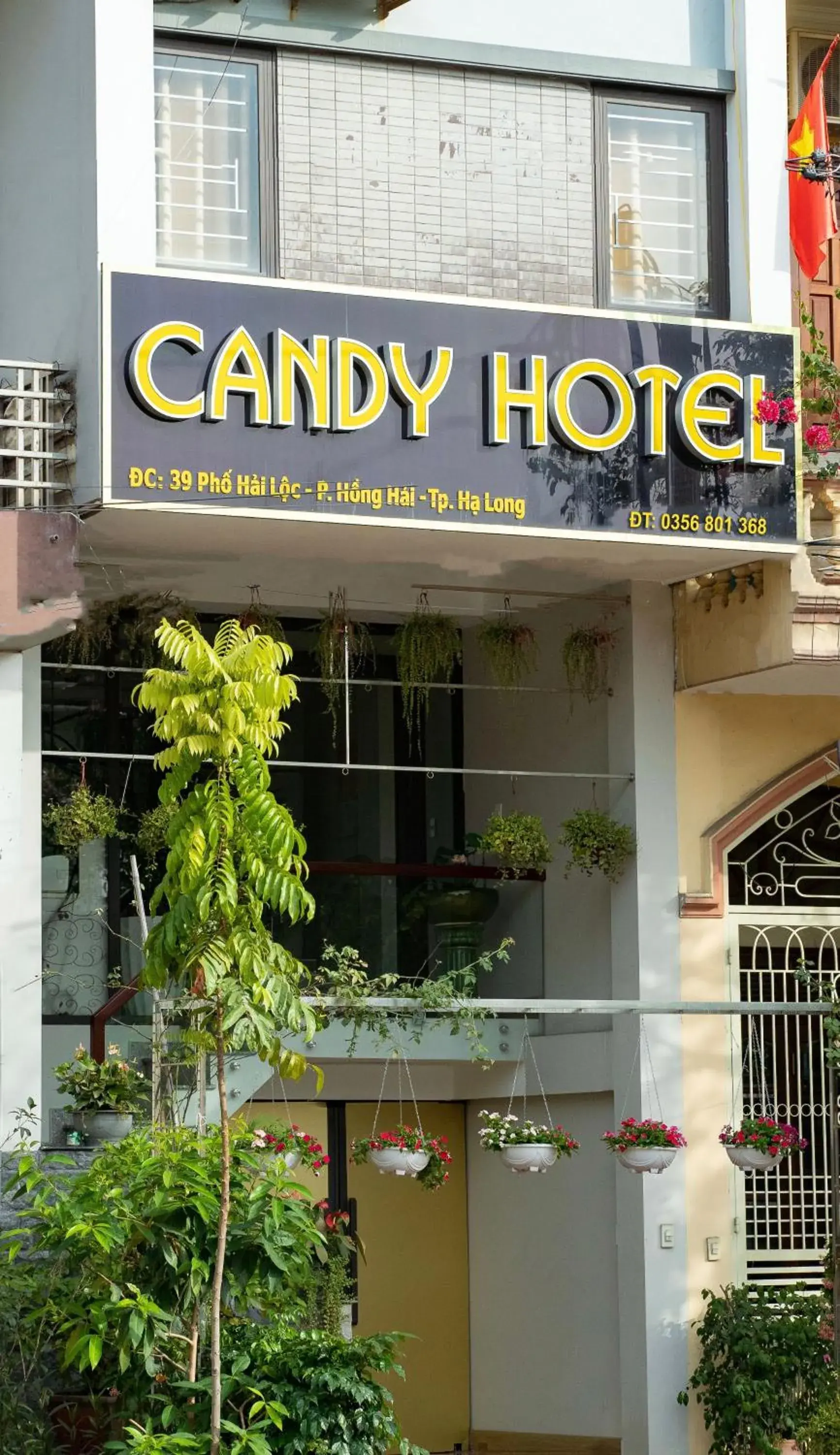 Candy Hotel Hạ Long Candy Hotel Hạ Long