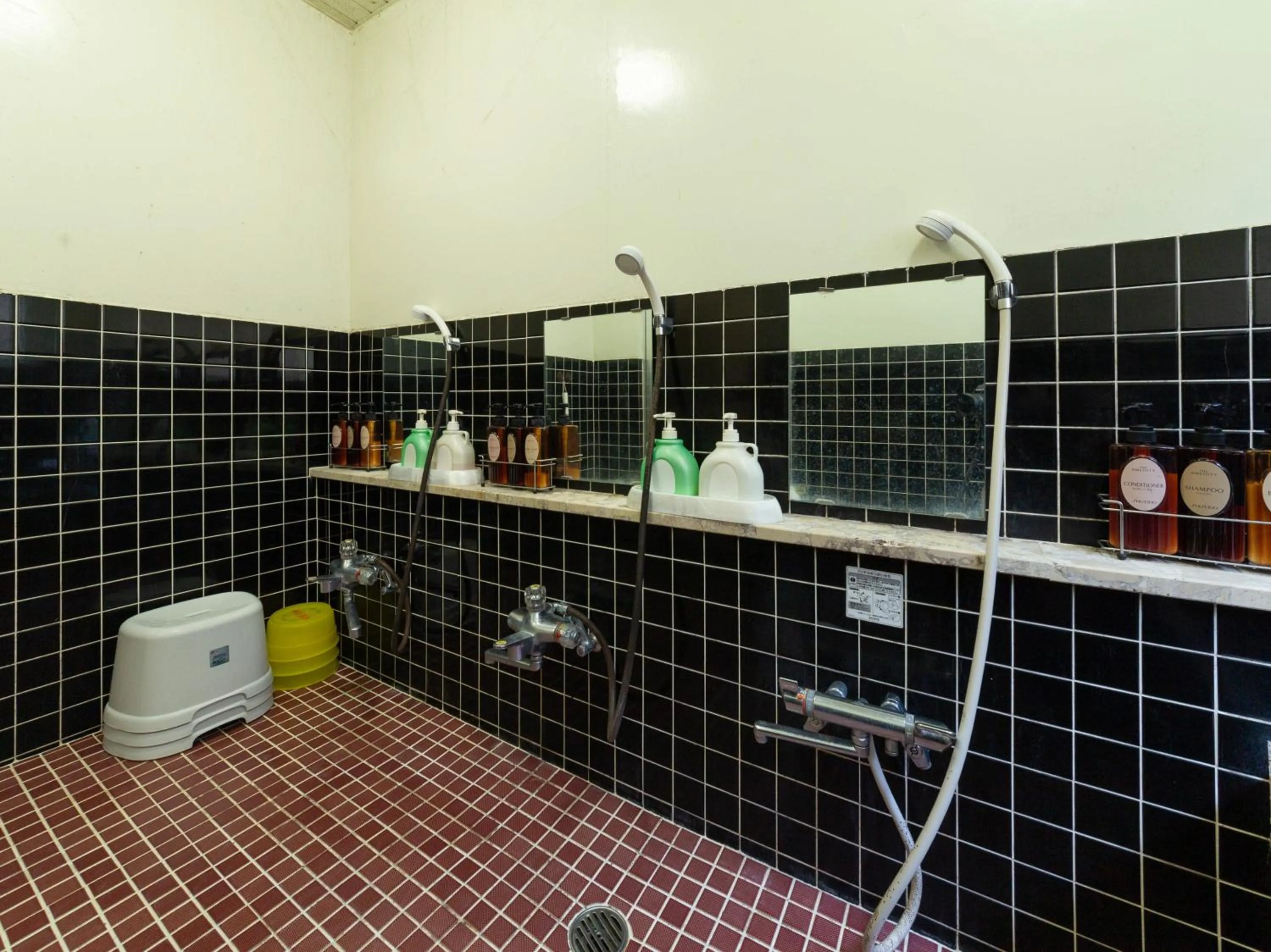 Bathroom in Tabist Business Hotel Chitose Kashiwazaki