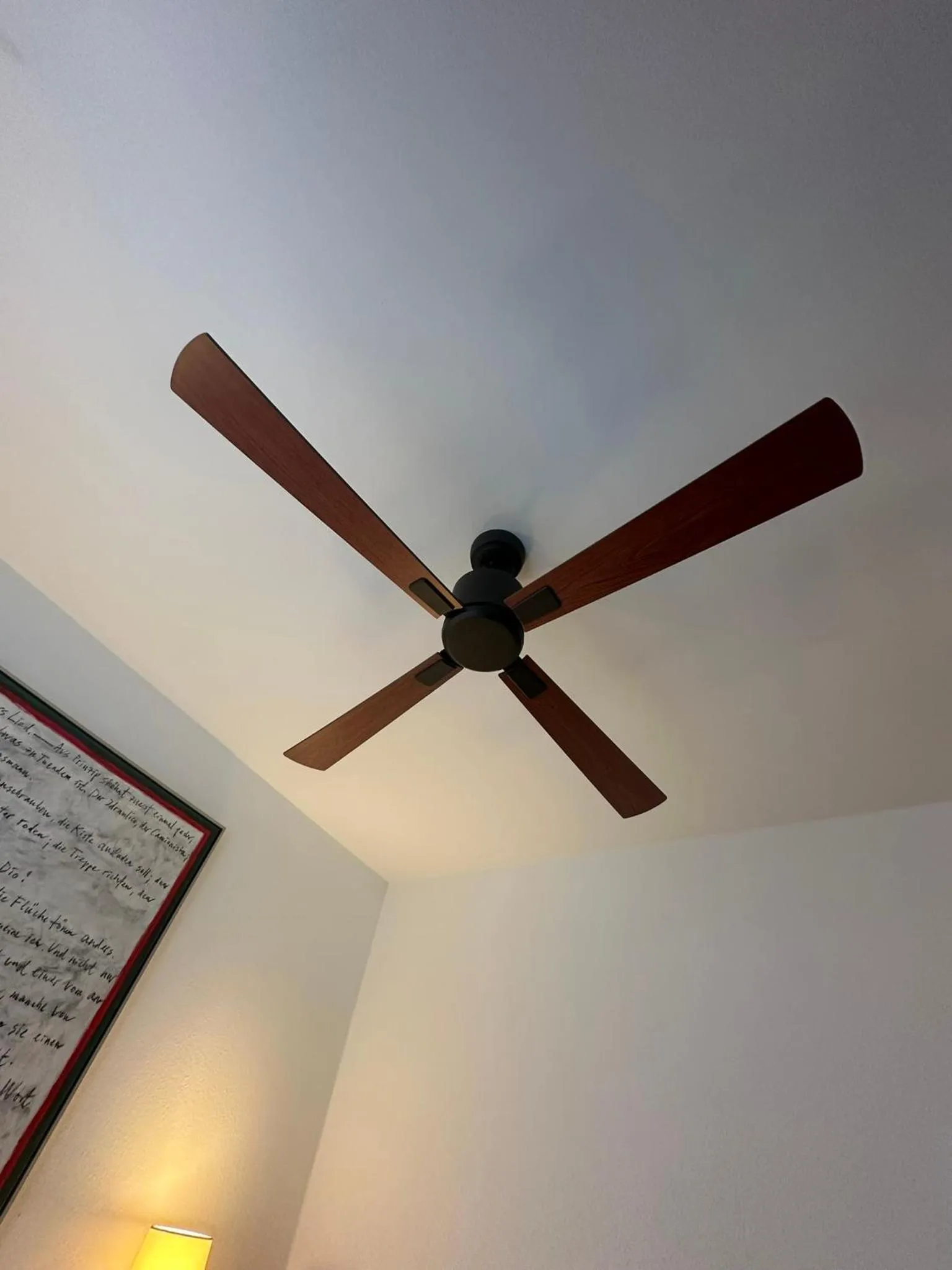 Area and facilities in Altstadt Hotel