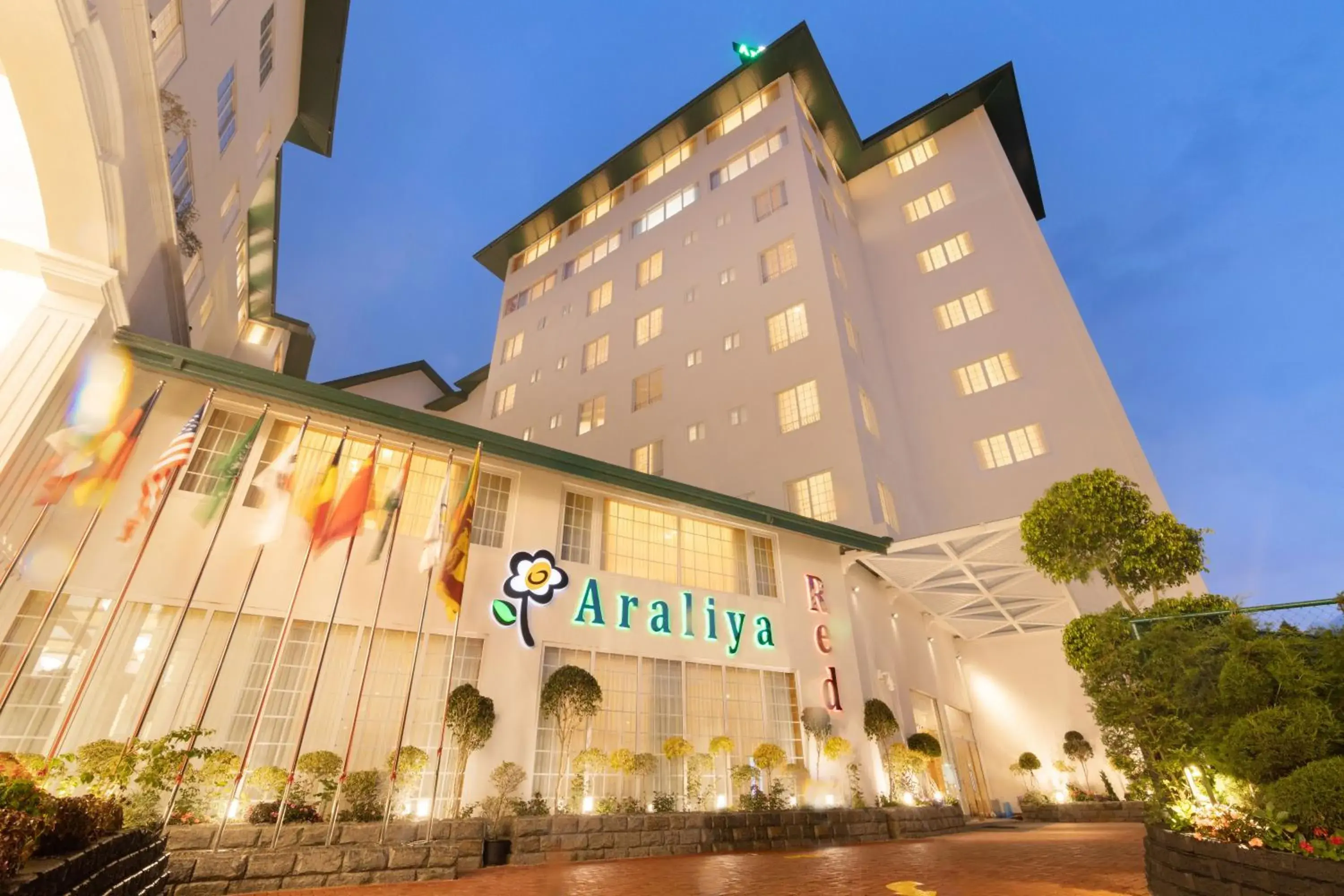 Araliya Red - Budget friendly Hotel- Where you find stunning 360 panoramic view of Nuwara Eliya Araliya Red - Budget friendly Hotel- Where you find stunning 360 panoramic view of Nuwara Eliya