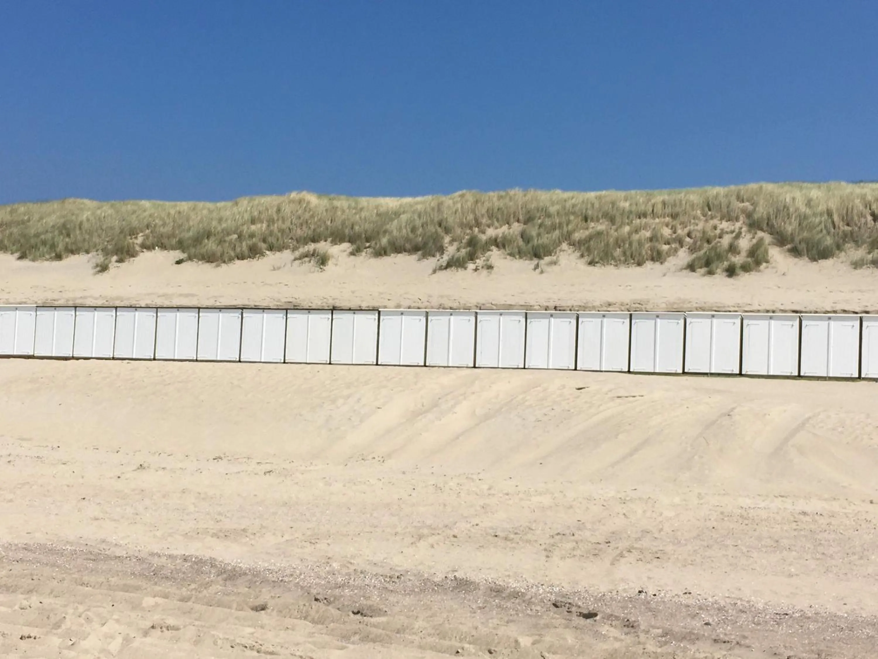 Beach in bed bij zee