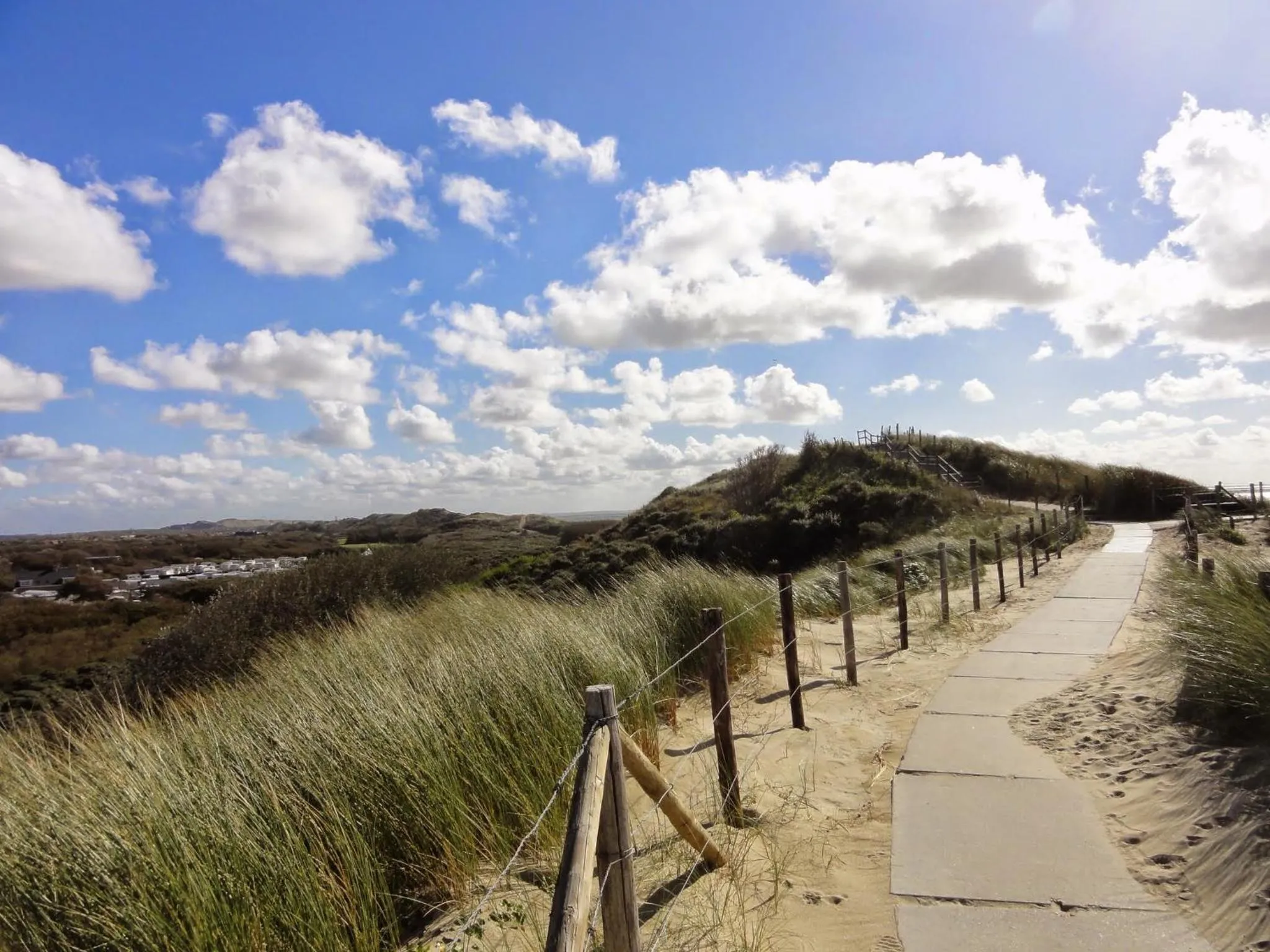 Natural landscape in bed bij zee