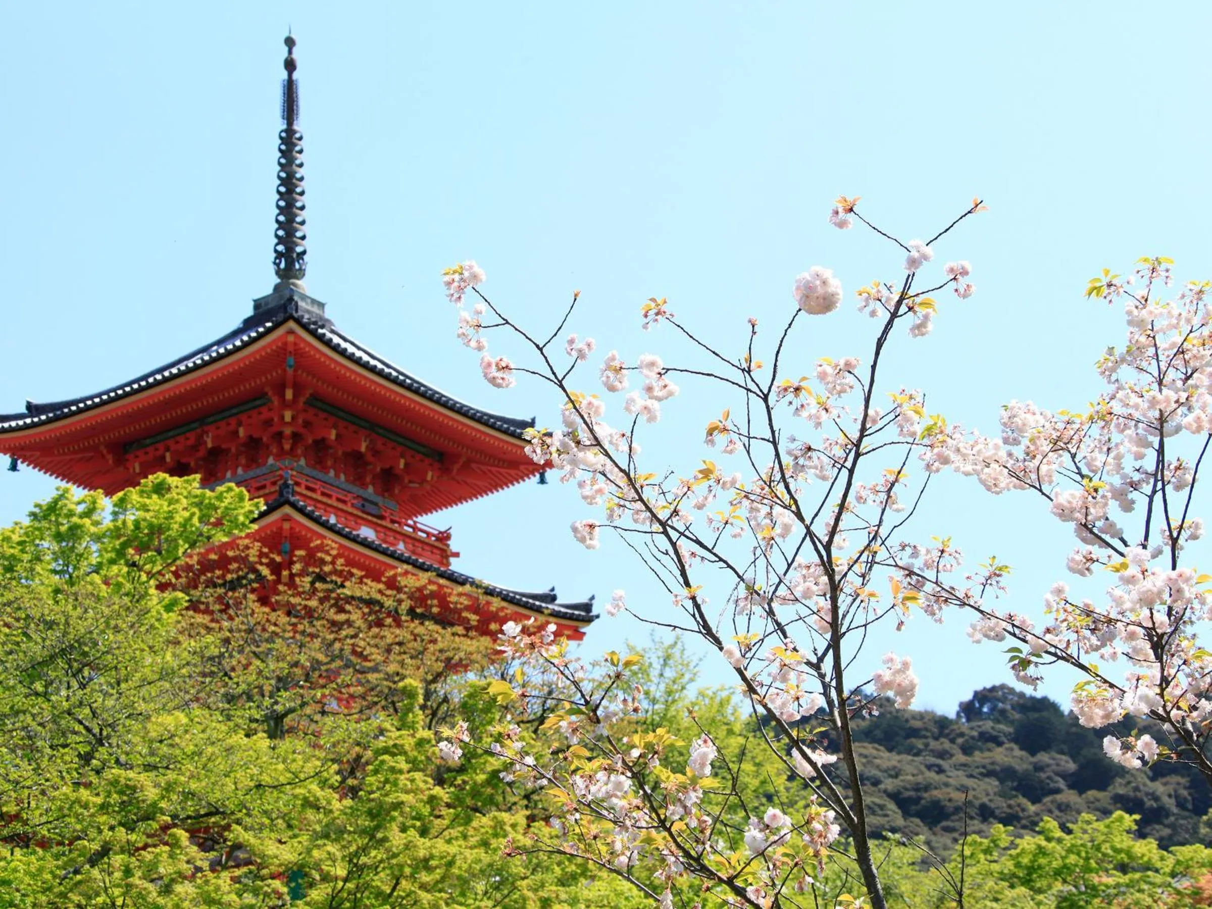 Nearby landmark in REF Kyoto Hachijoguchi by VESSEL HOTELS