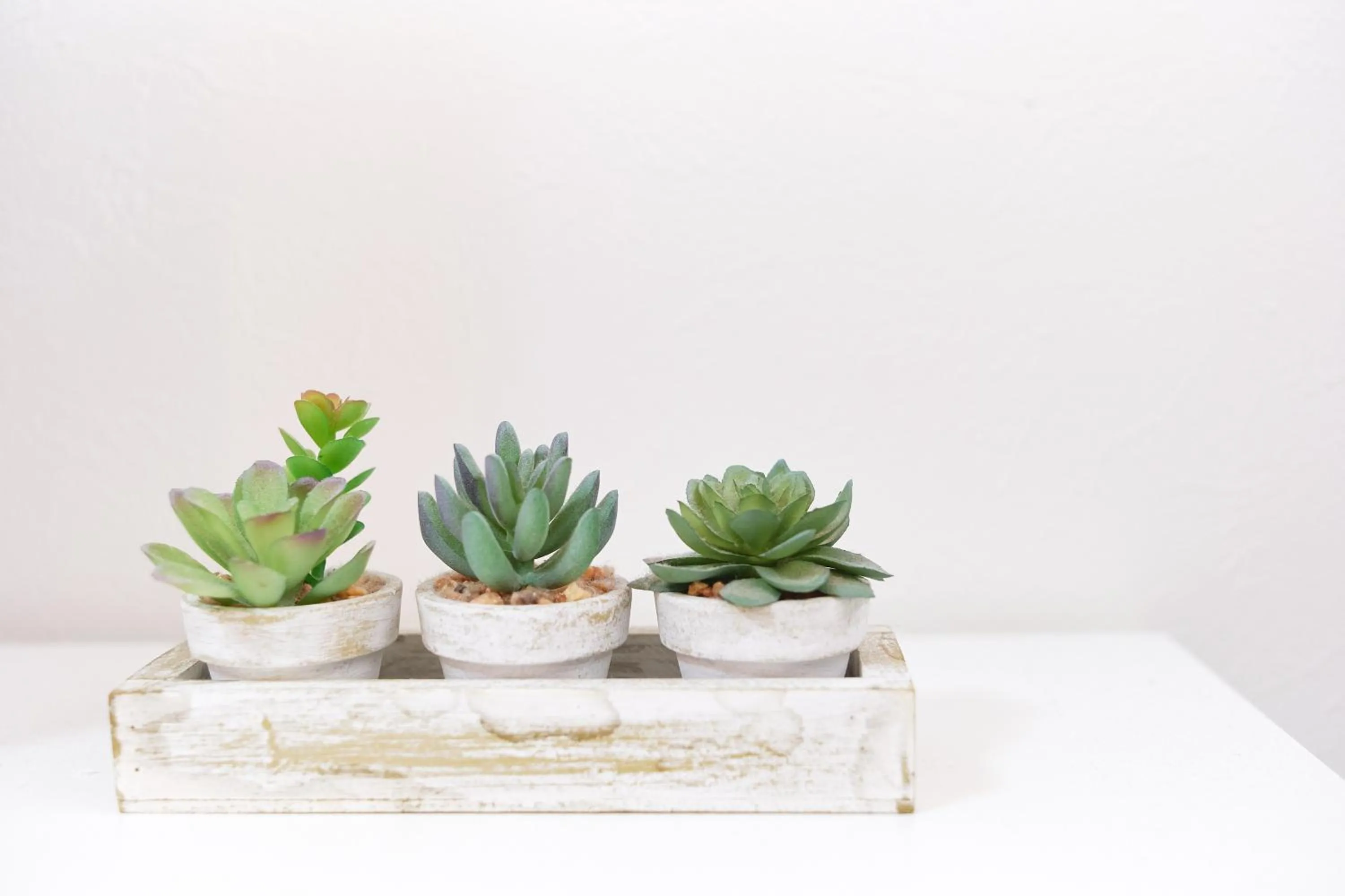 Base Hanegi Apartment by Tranova