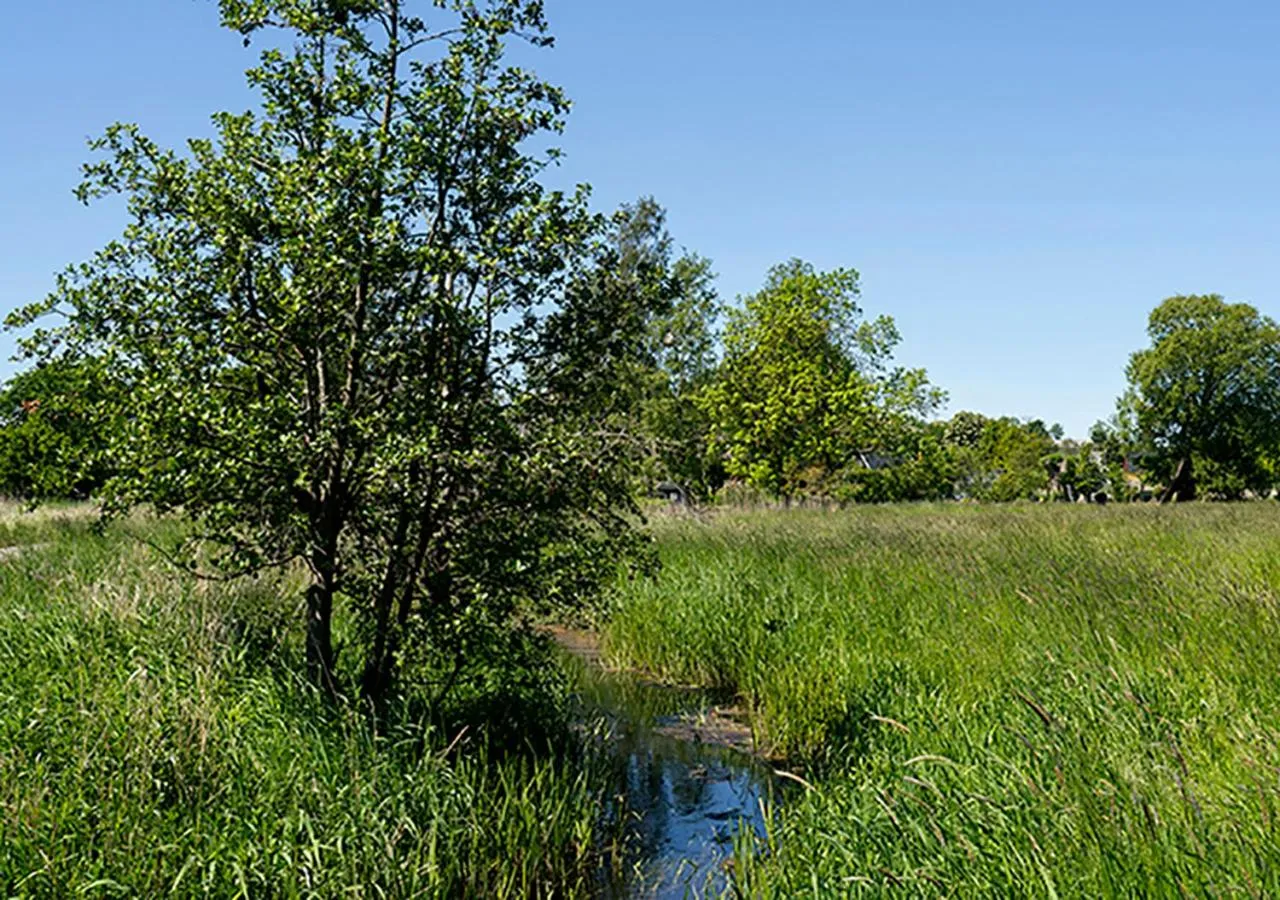 Natural landscape in Svenskebakken Bed & Breakfast