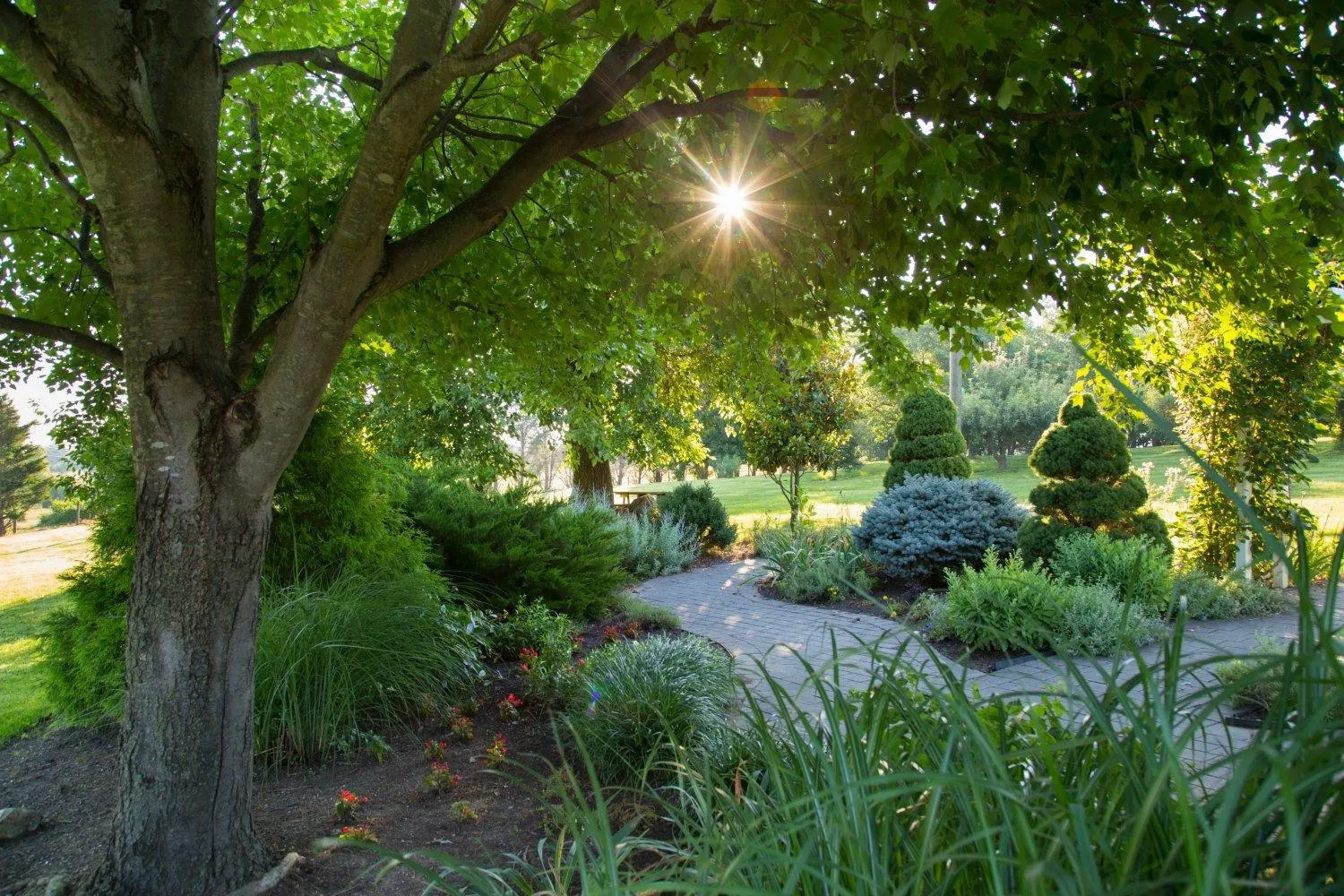 L'Auberge Provencale Inn & Restaurant