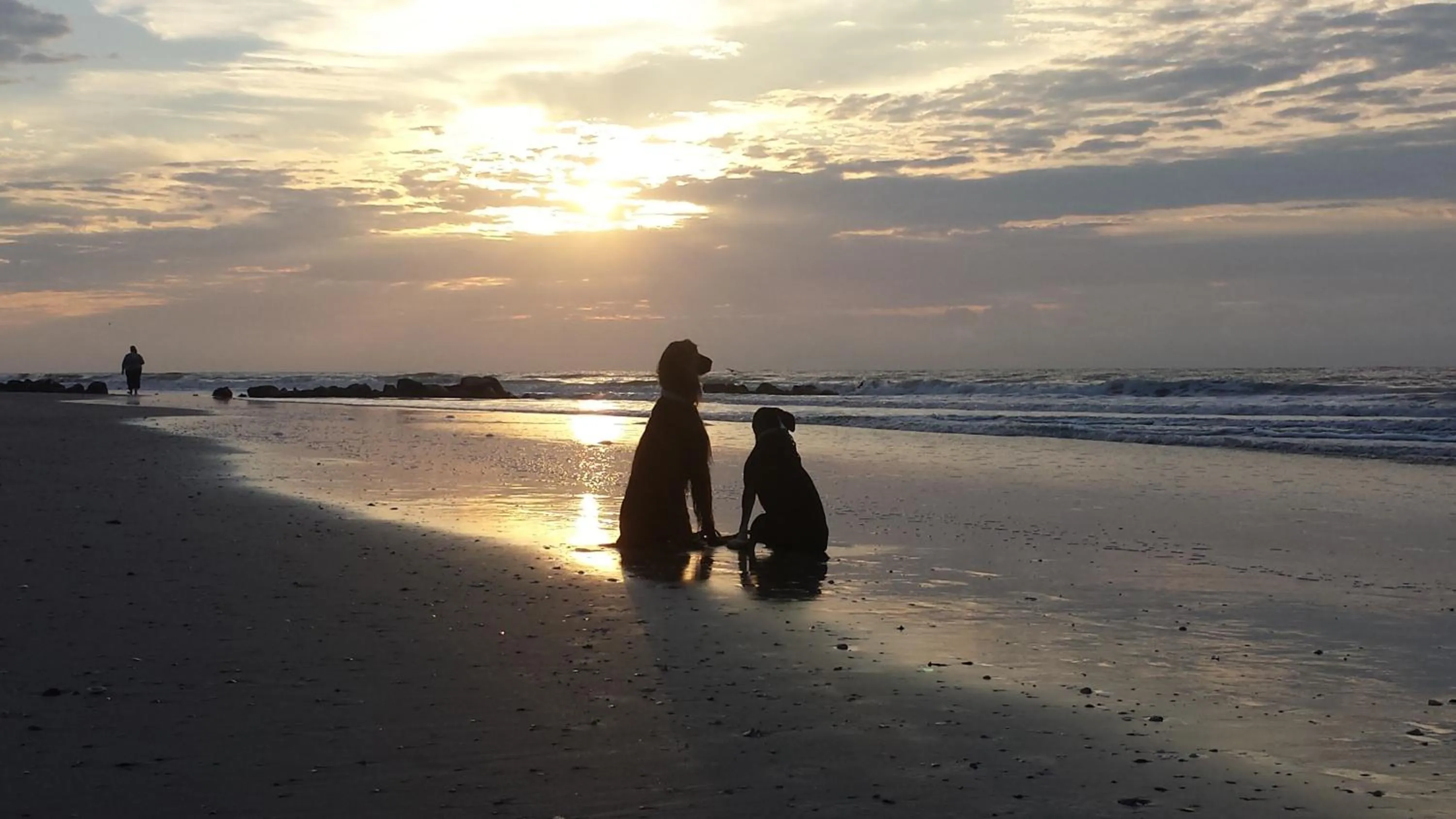 Folly Vacation 620 apartment w/bonus room, one block to the beach & pet friendly