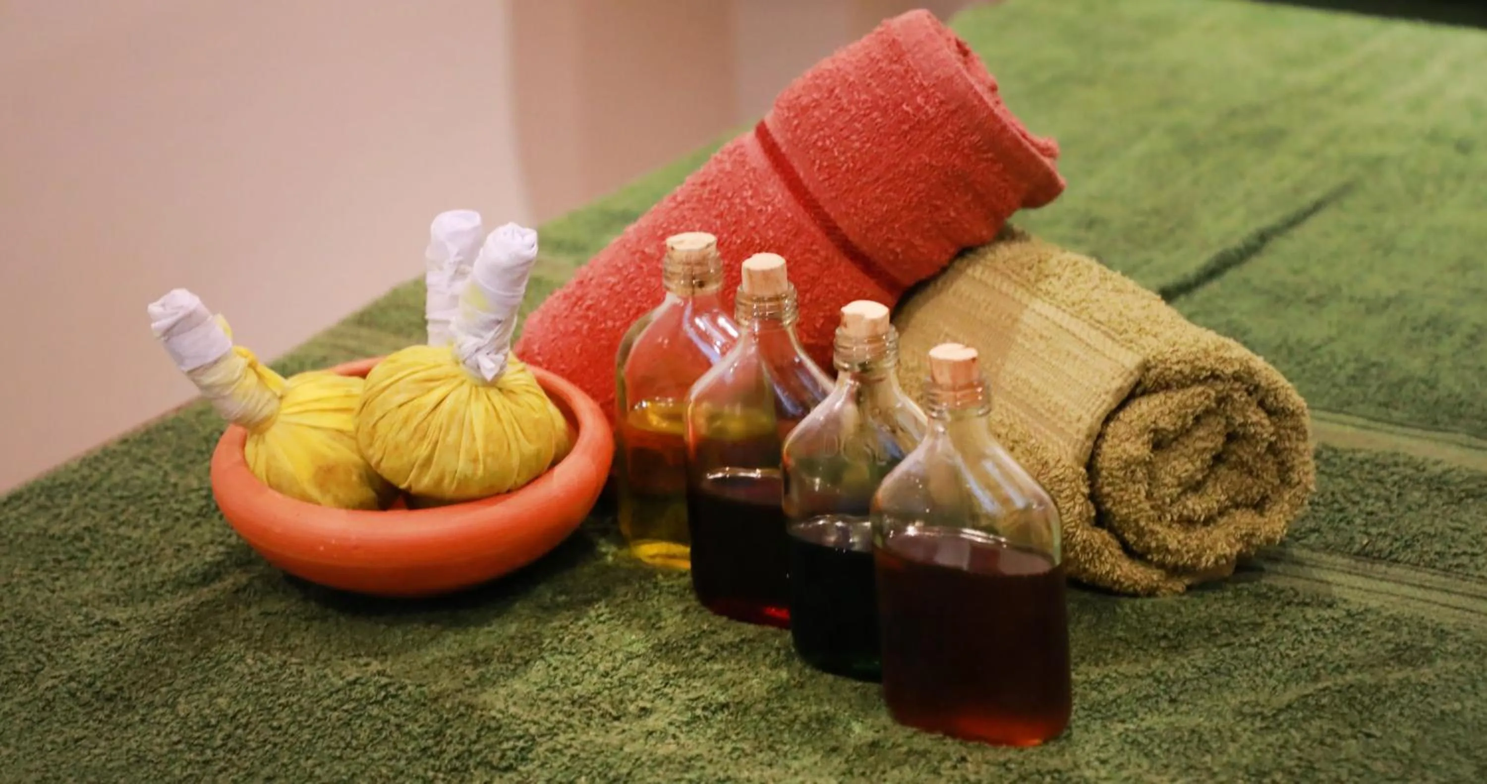 Spa and wellness centre/facilities in Terrace Garden Ayurveda Resort