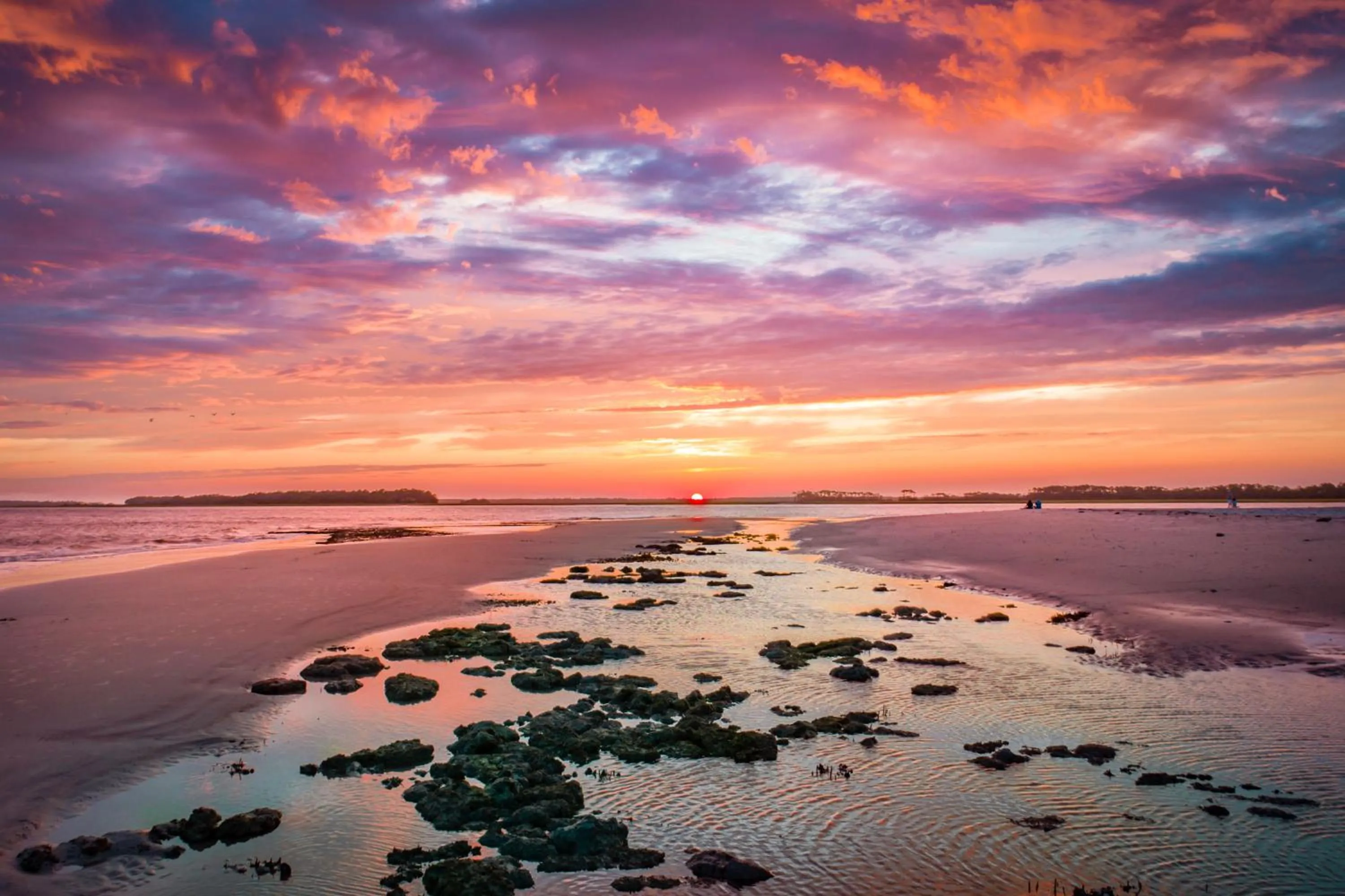 Folly Vacation Fantastic Vibe! Incredible Apt D