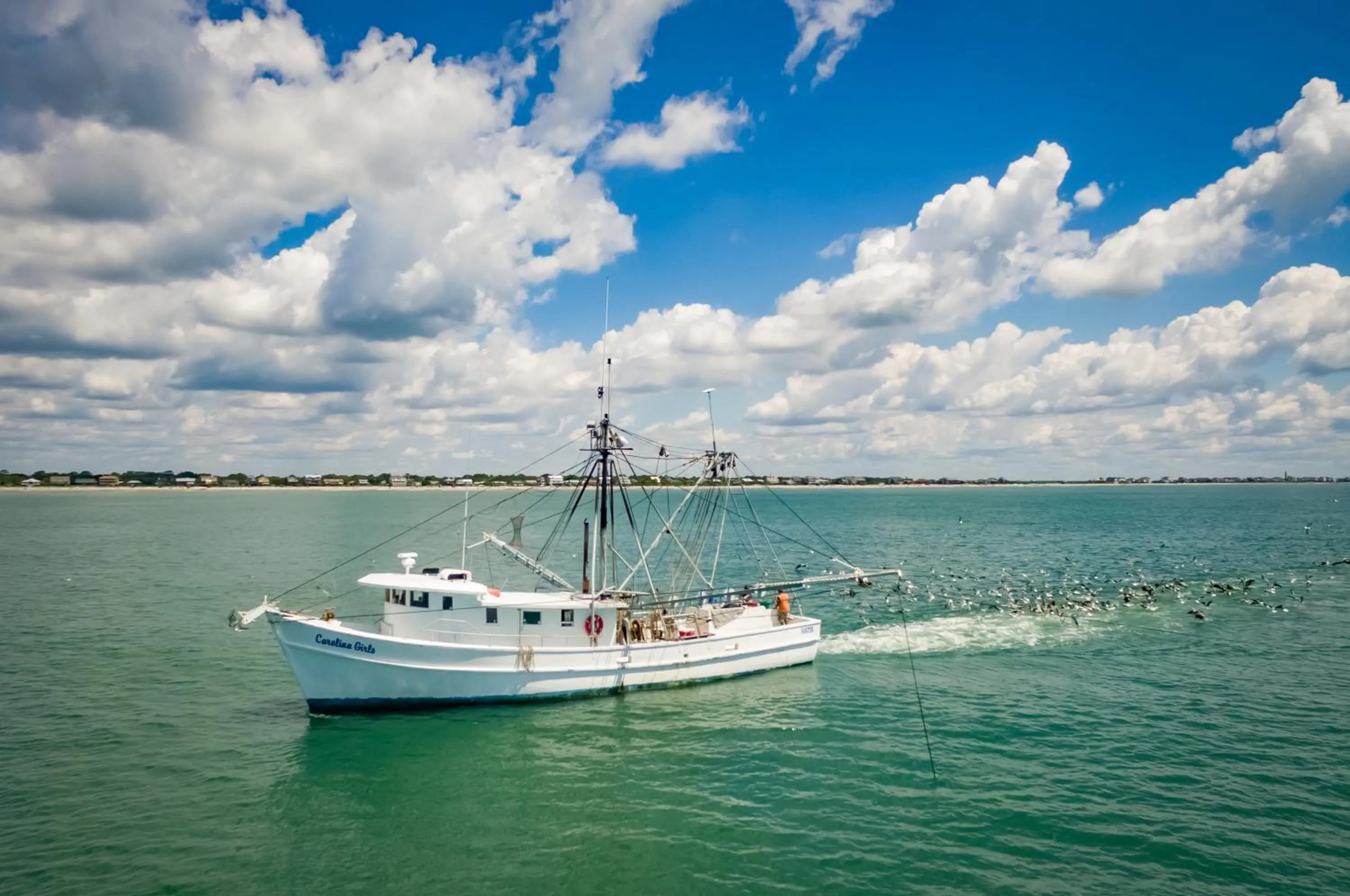 Folly Vacation Fantastic Vibe! Incredible Apt D