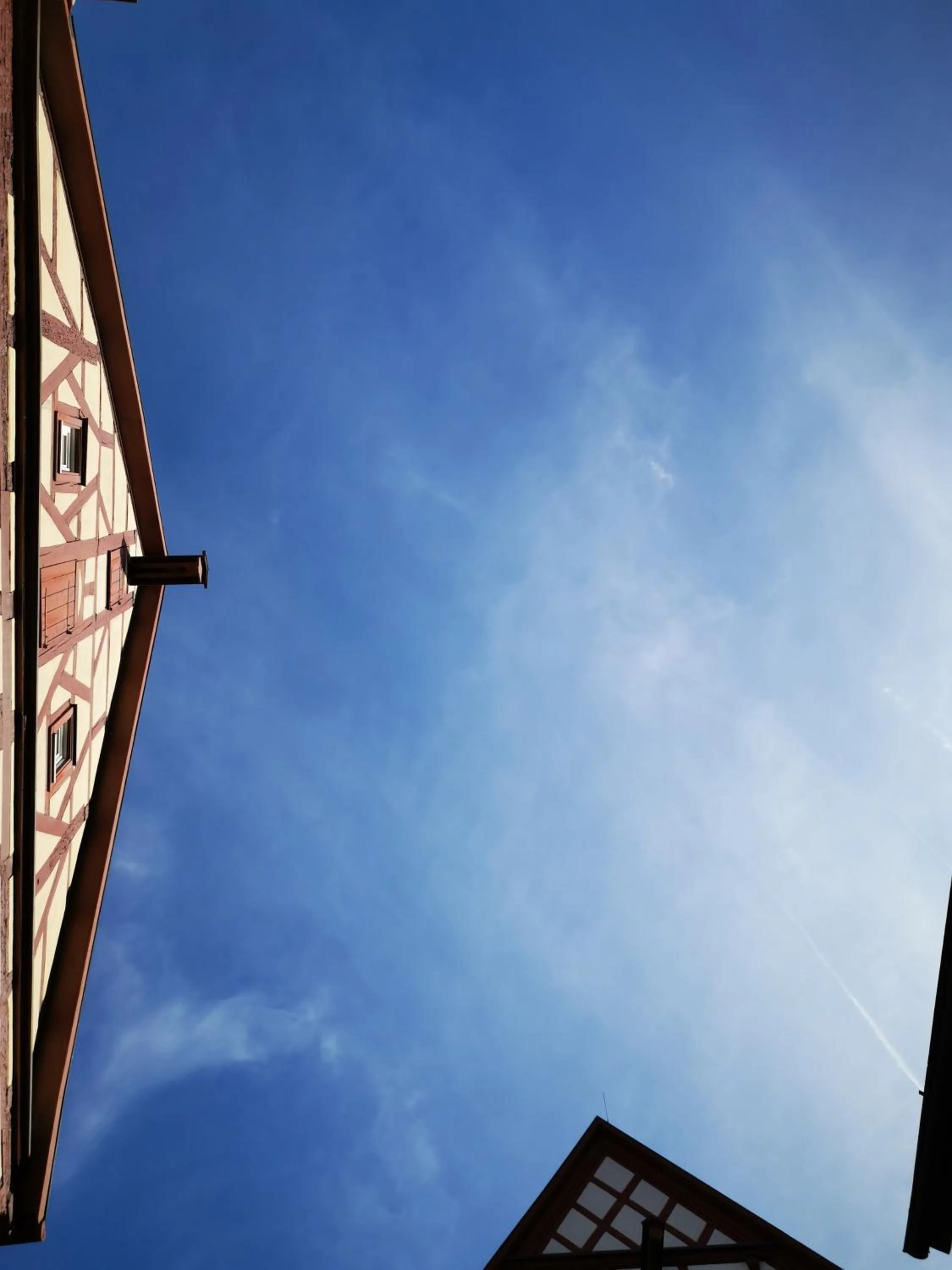 Day in China Restaurant Hotel Lotus