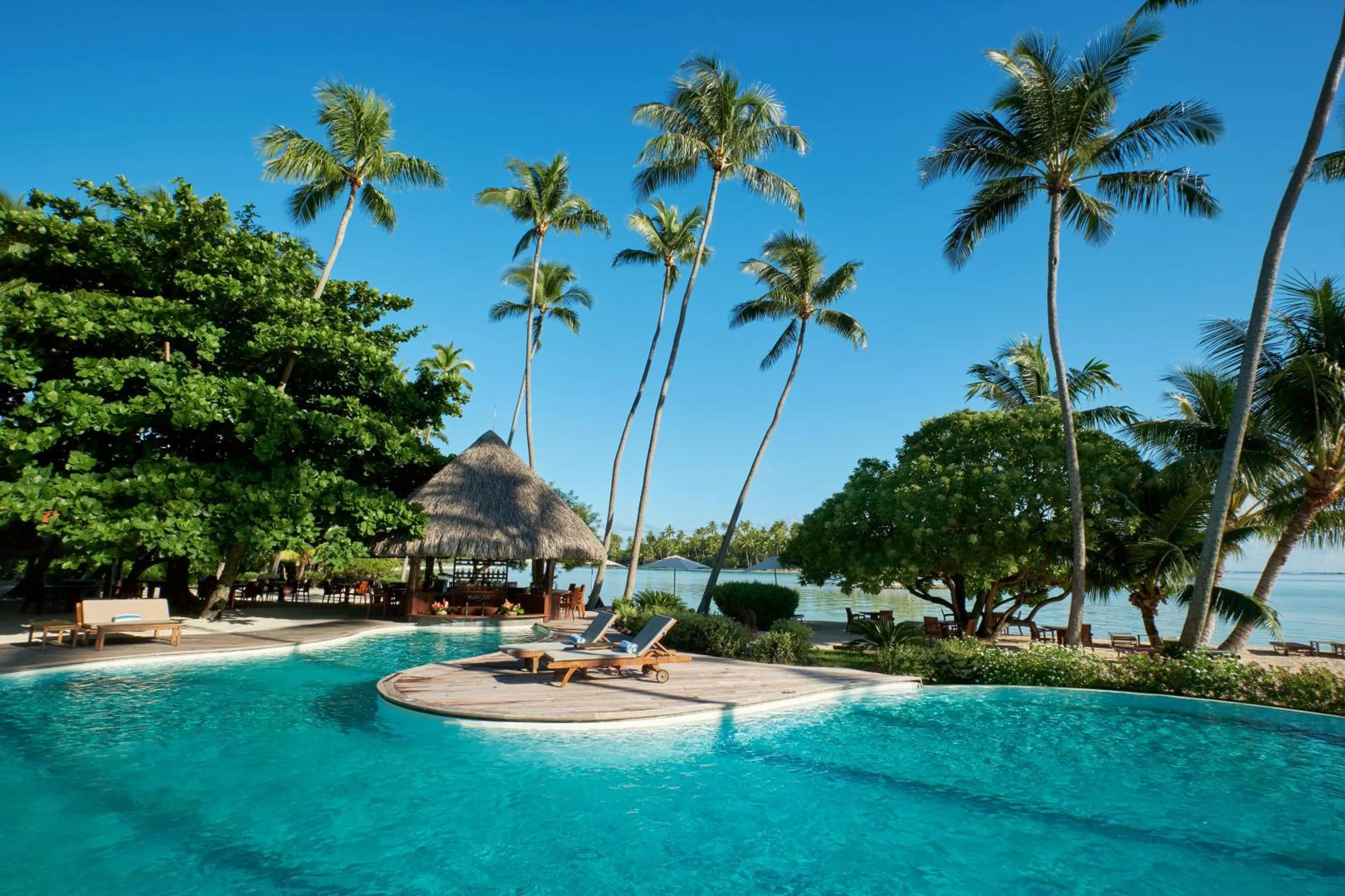 Lounge or bar in Le Taha'a by Pearl Resorts