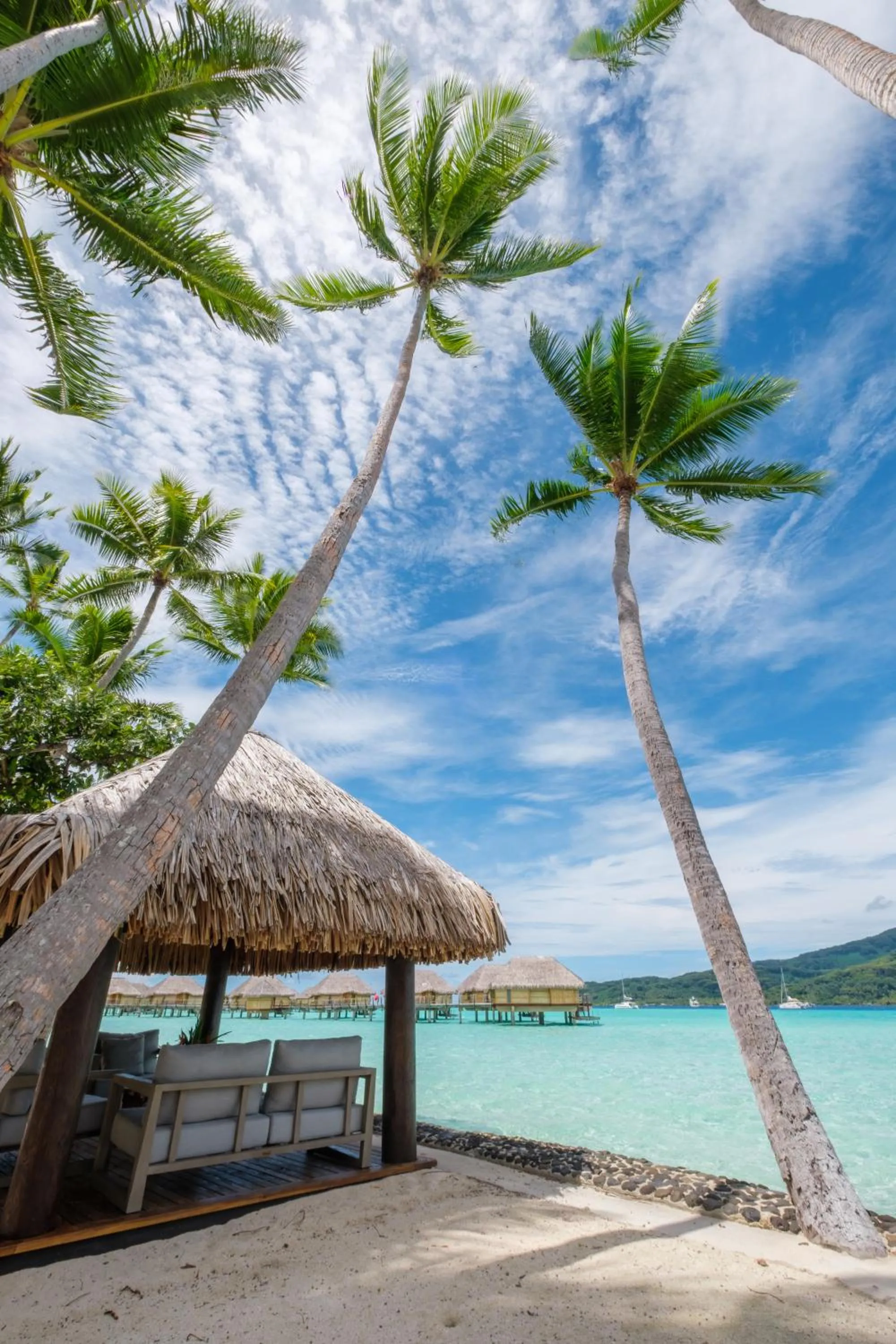 Balcony/Terrace in Le Taha'a by Pearl Resorts