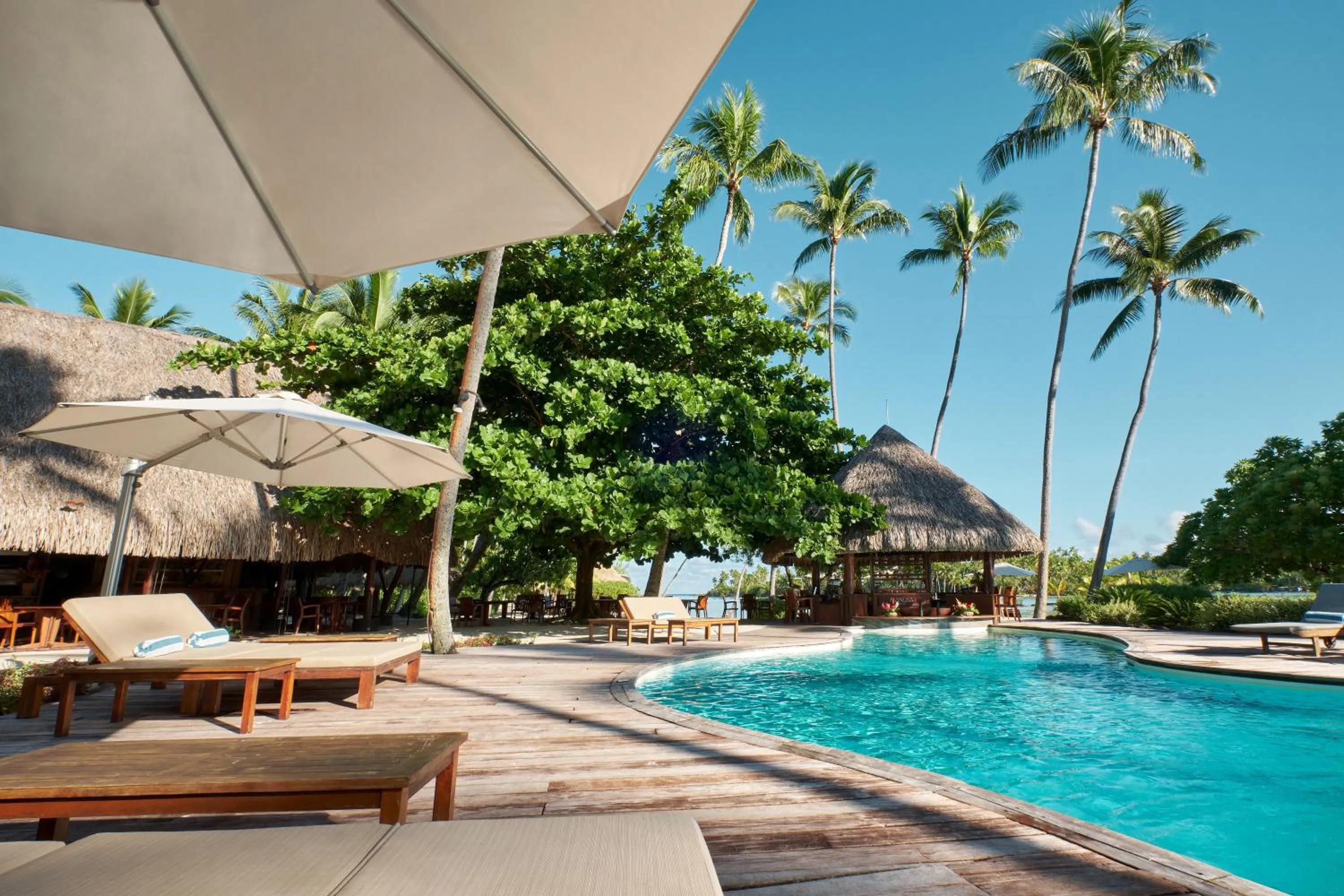 Lounge or bar in Le Taha'a by Pearl Resorts