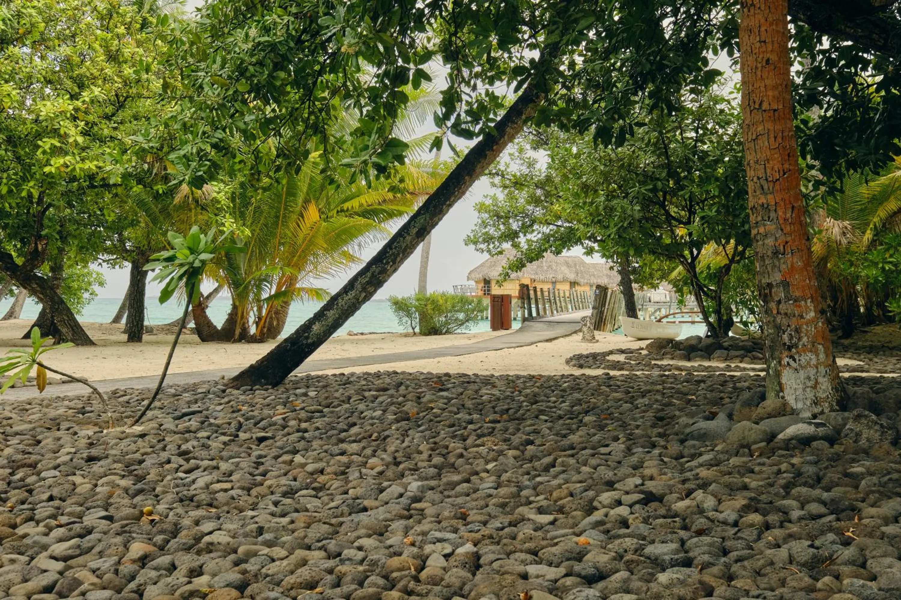 Garden in Le Taha'a by Pearl Resorts