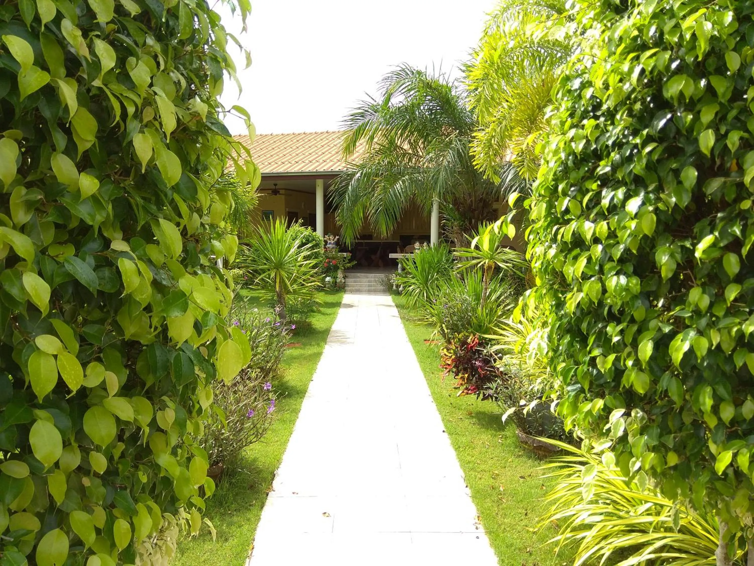 Natural landscape in Stella Resort