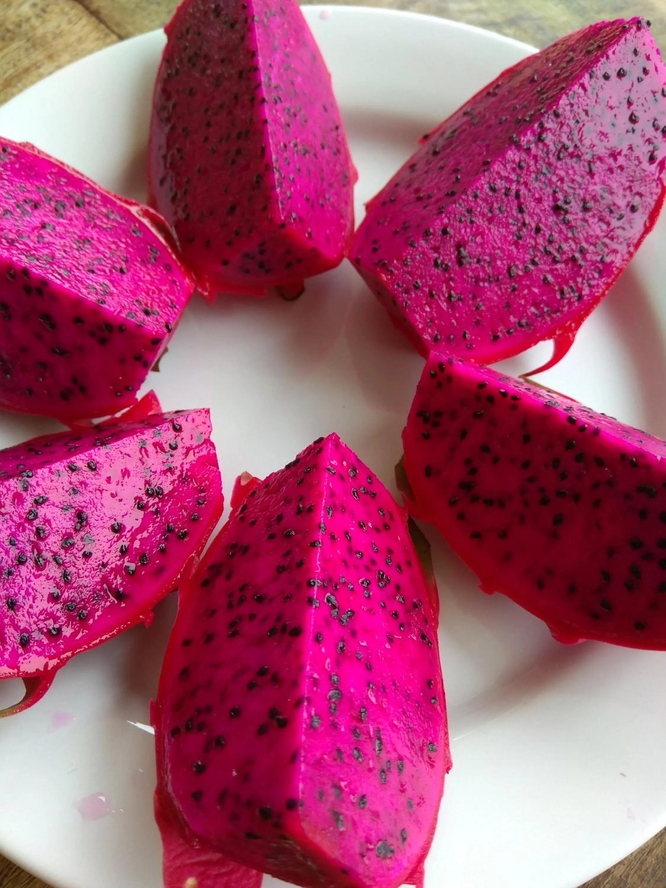 Food and drinks in Stella Resort