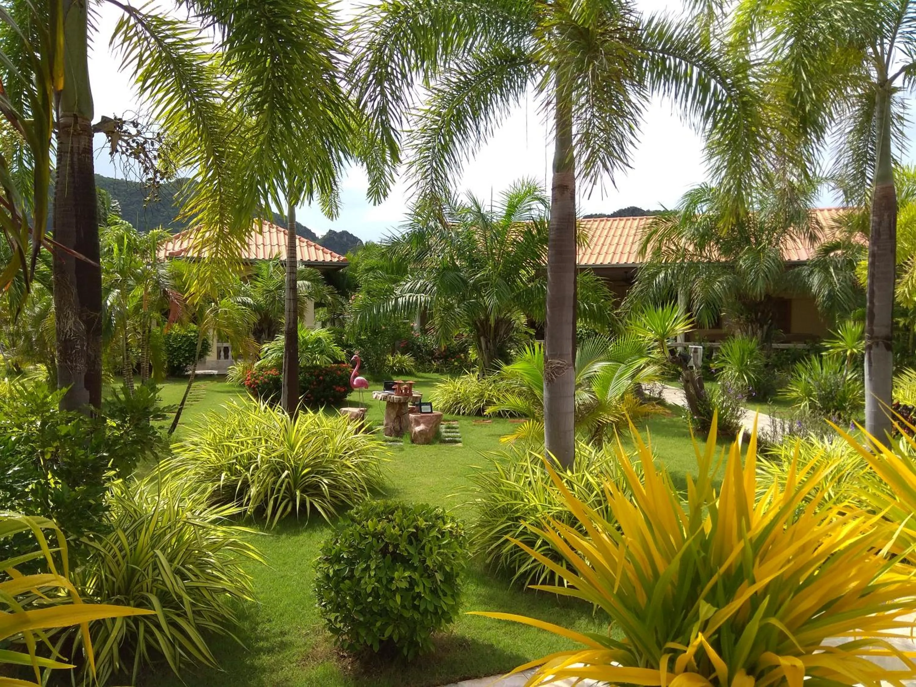 Natural landscape in Stella Resort