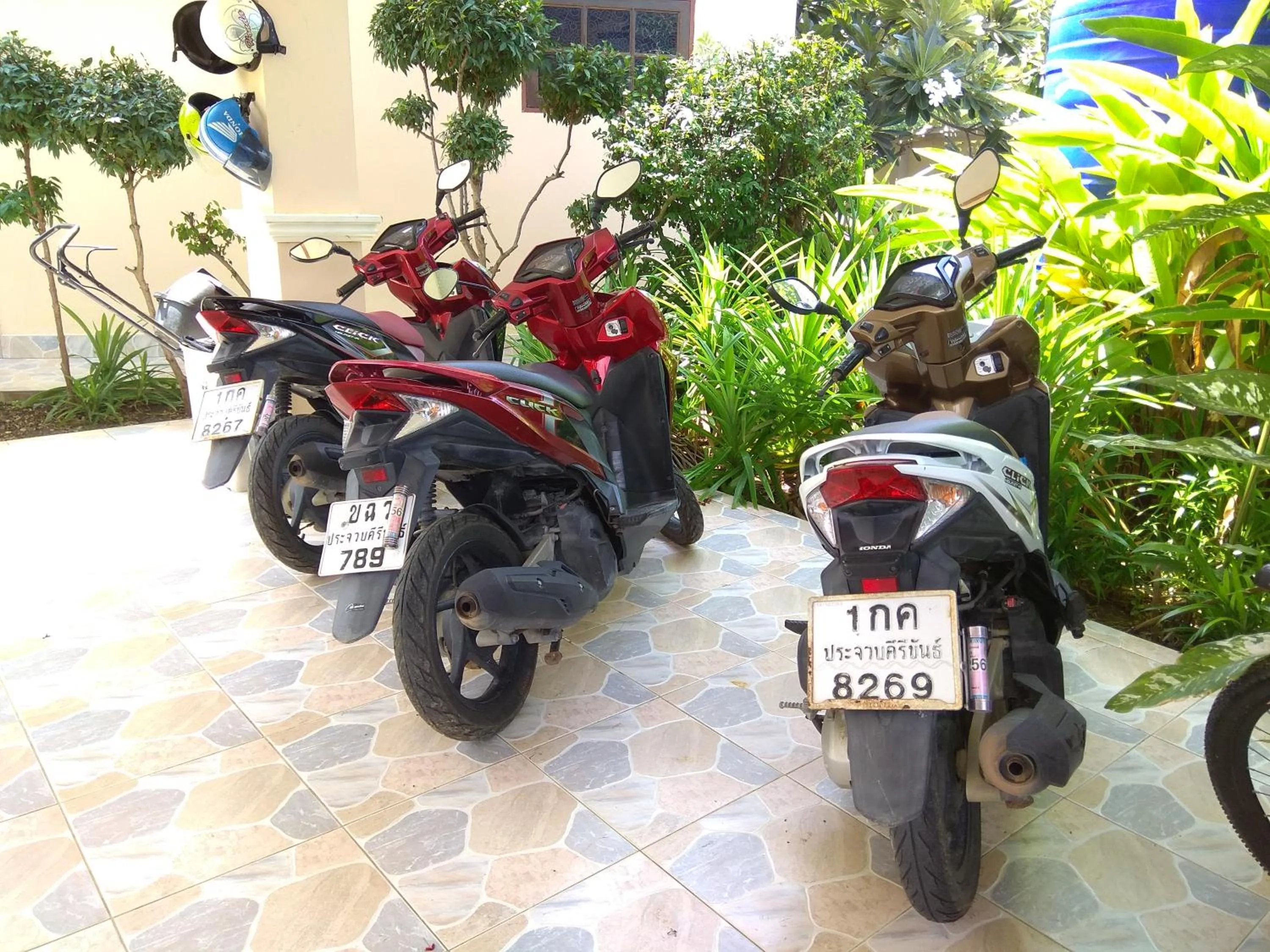 Cycling in Stella Resort