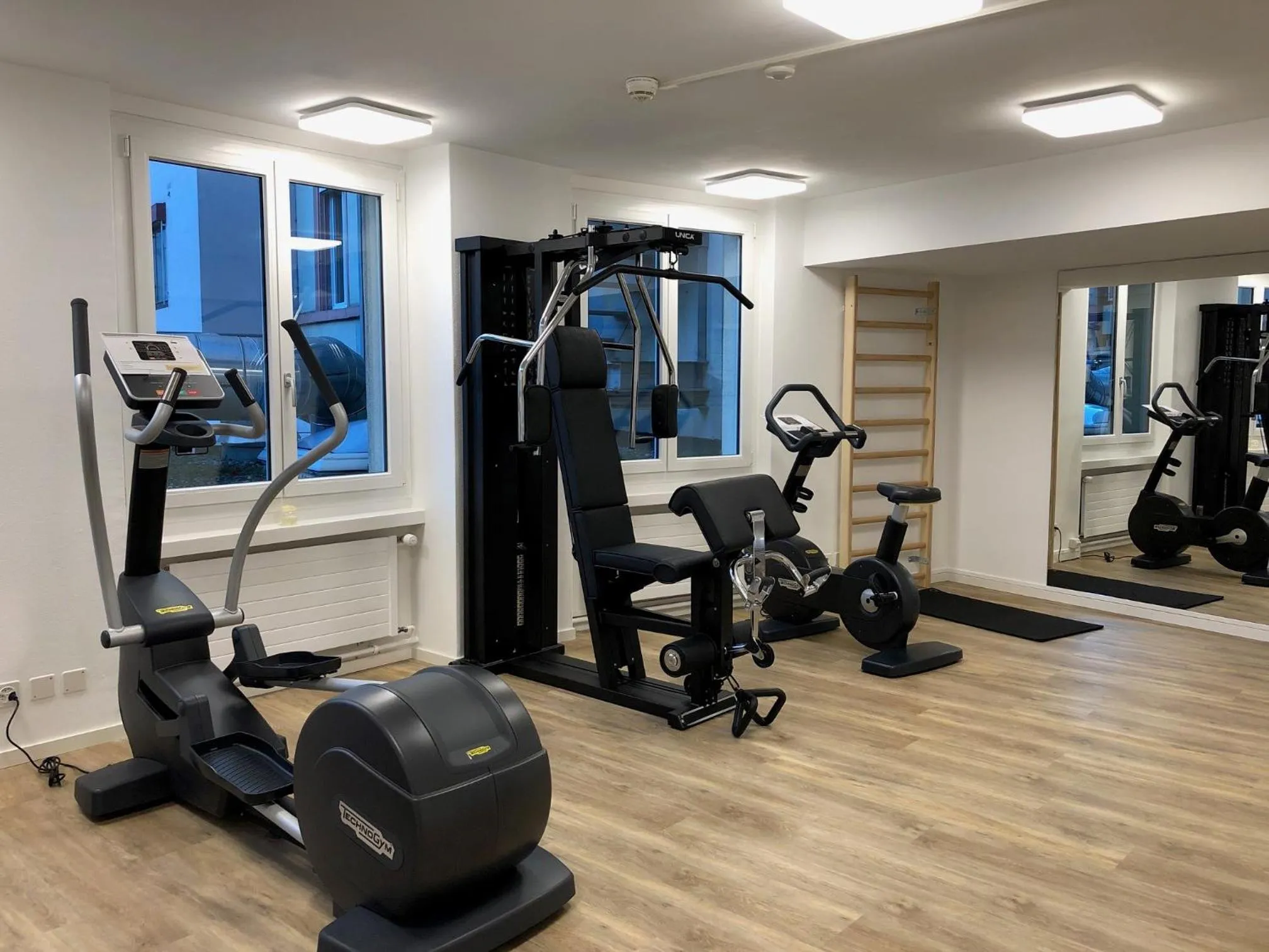Fitness centre/facilities in Hotel Euler Basel