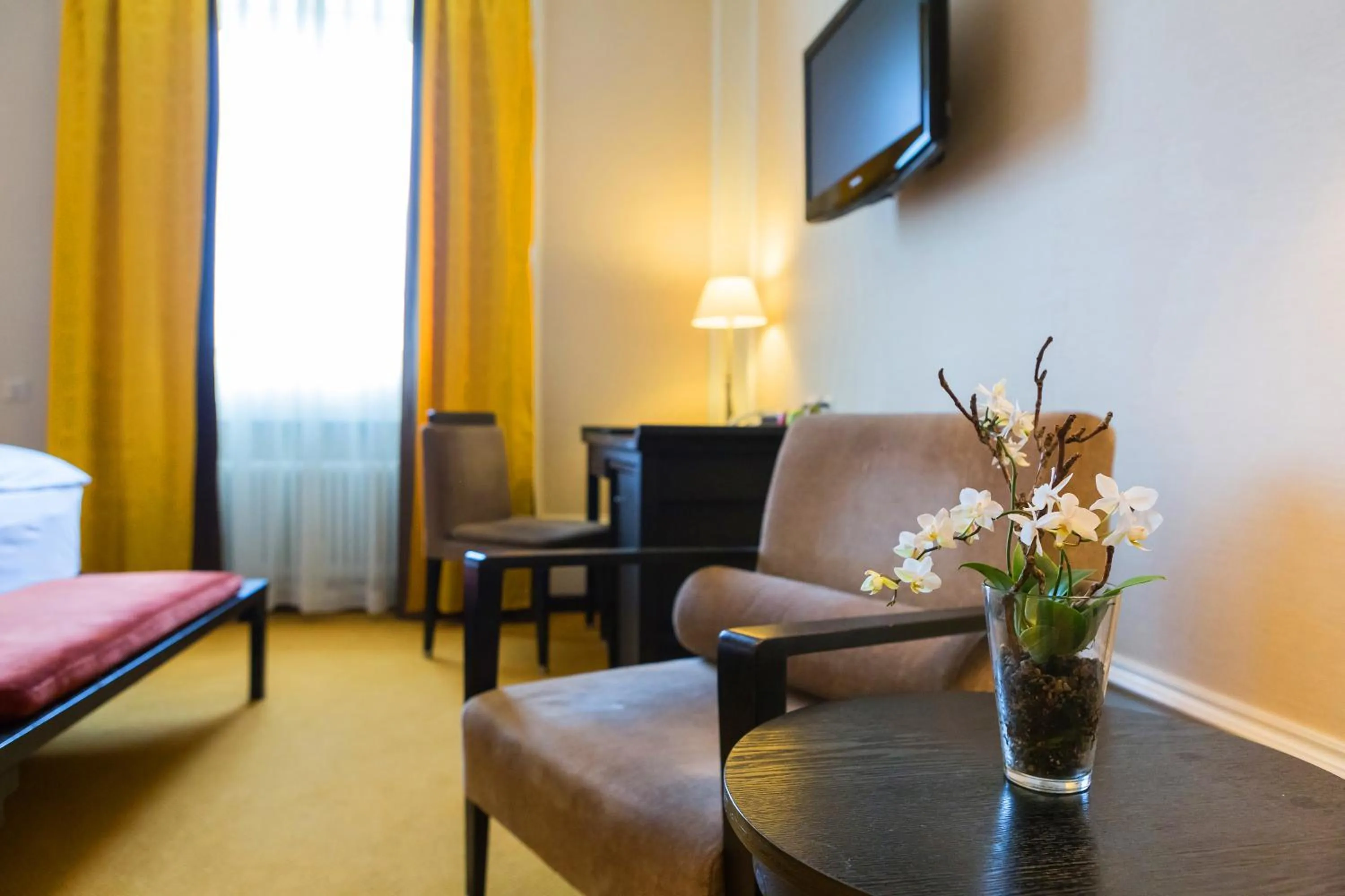 Photo of the whole room in Hotel Euler Basel