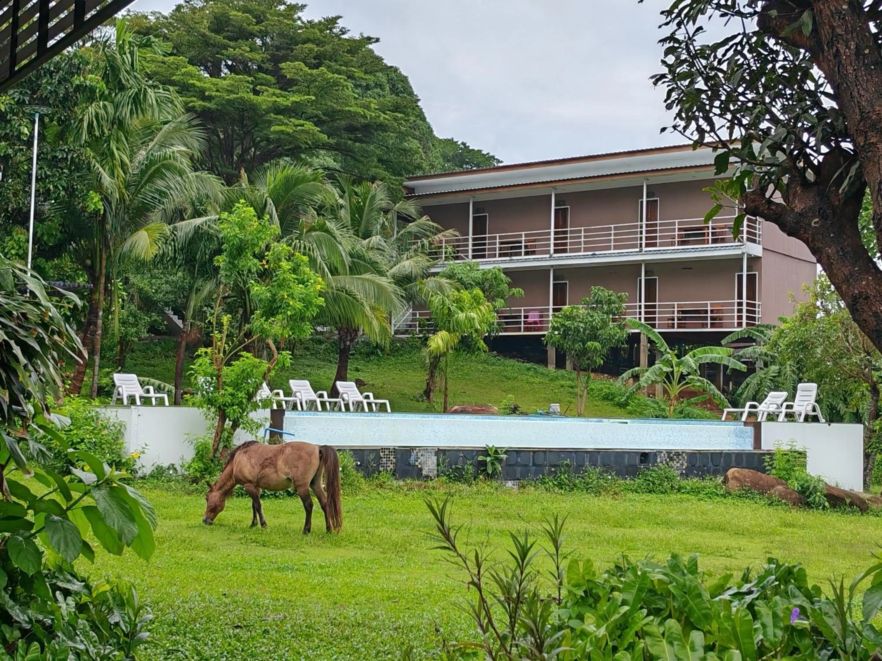 Garden view in Phi Phi Chang Grand Resort