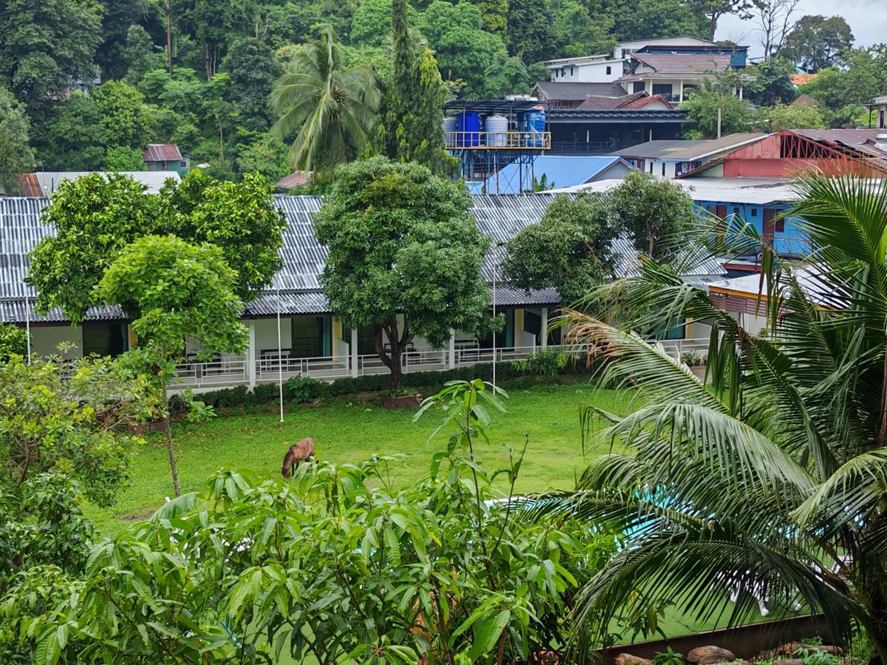 Garden view in Phi Phi Chang Grand Resort