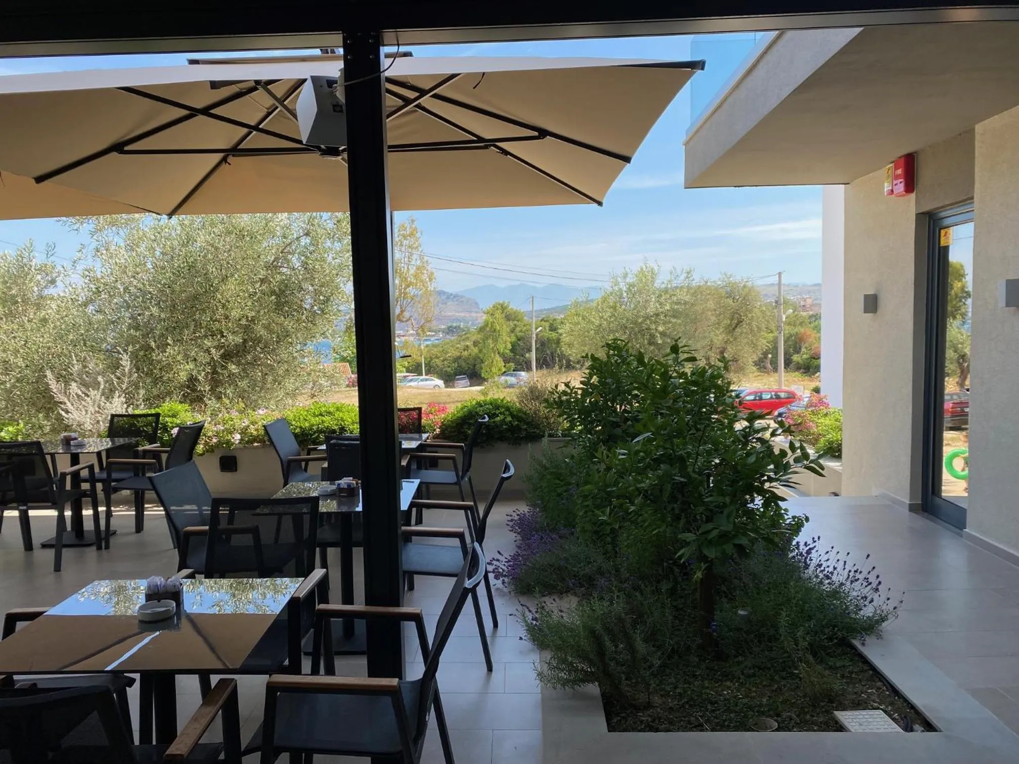 Lounge or bar in Hotel Olive Ksamil