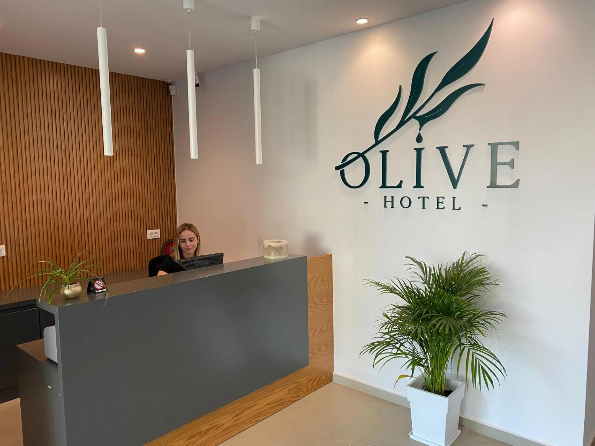 Lobby or reception in Hotel Olive Ksamil
