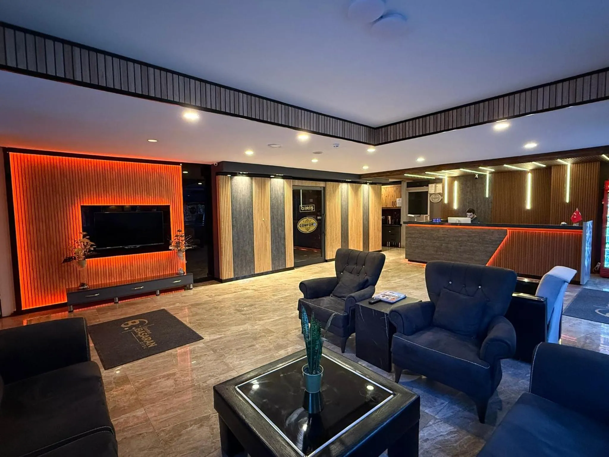 Communal lounge/ TV room in Comfort Başaran OTEL