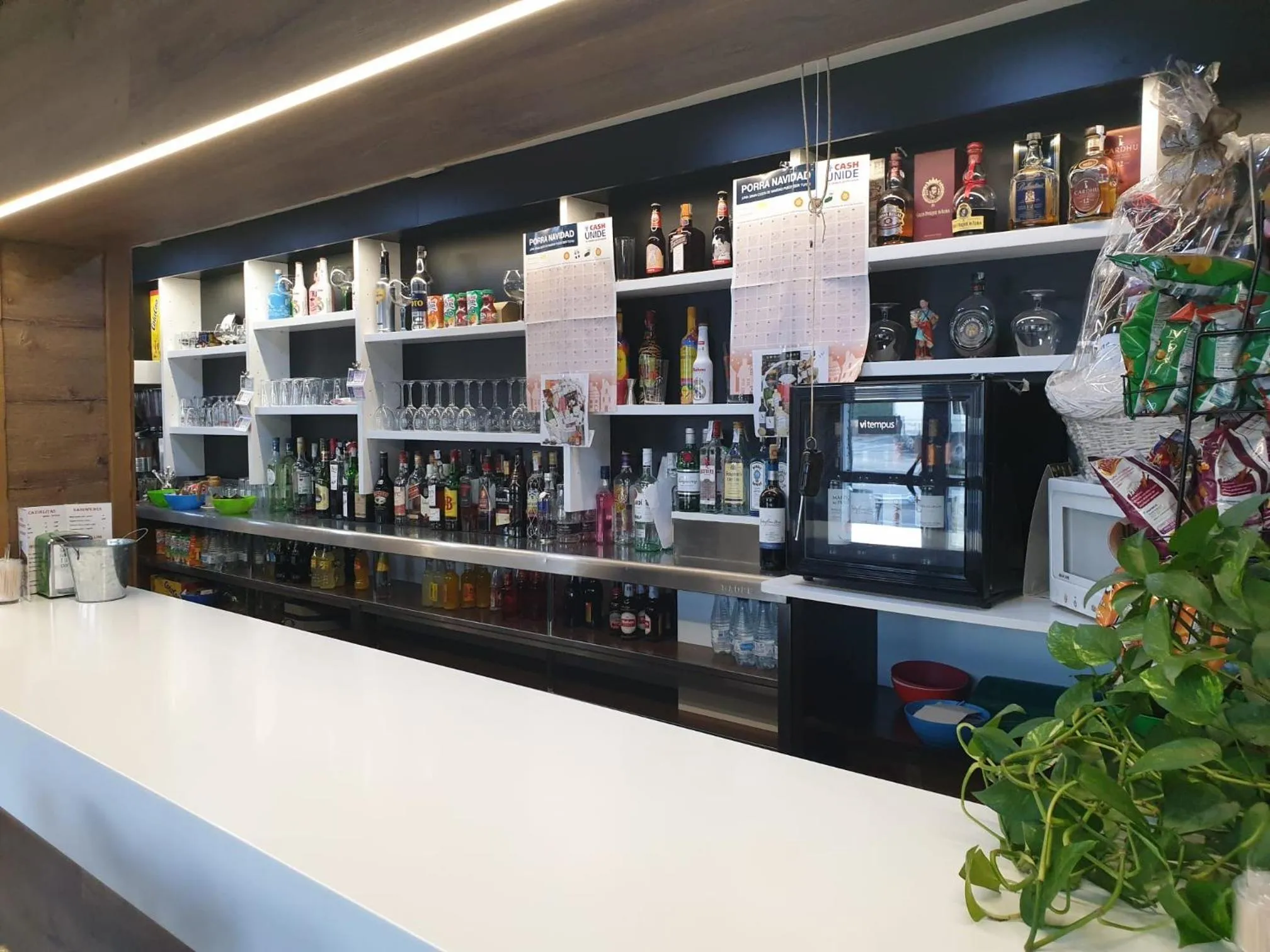 Lounge or bar in Hotel El Peregrino