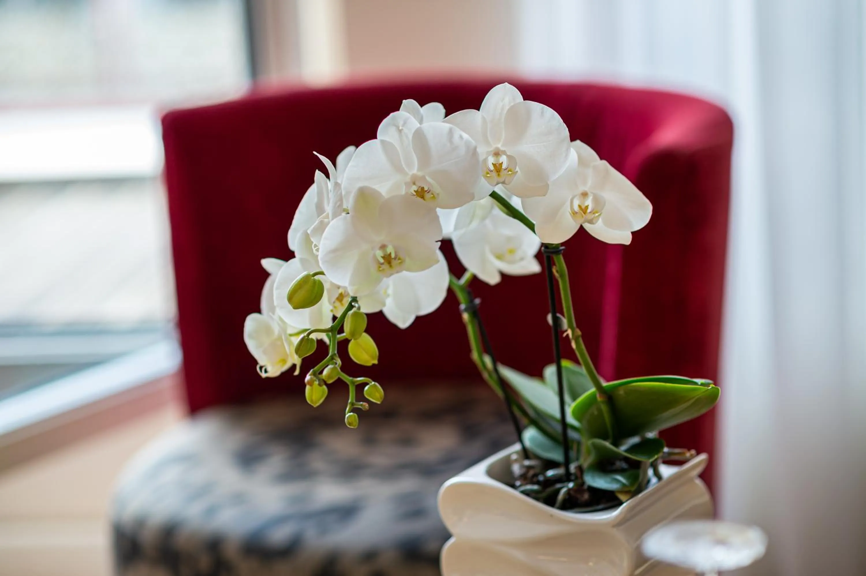 Decorative detail in Jade Manotel