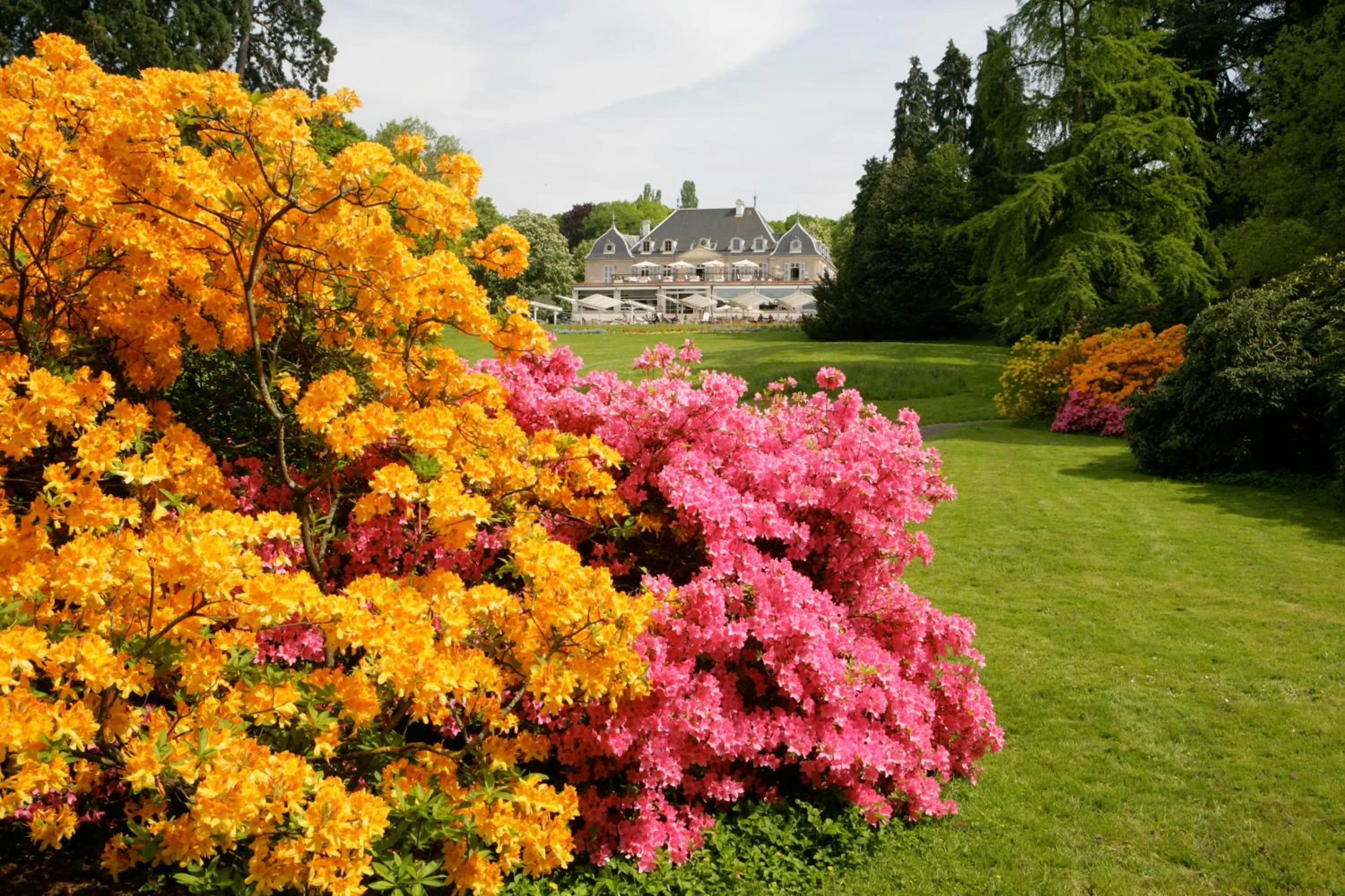Garden in Hôtel Résidence Parc des Eaux Vives