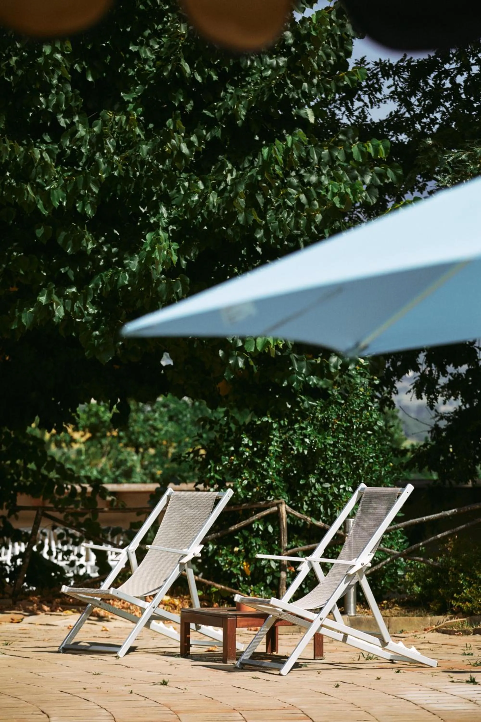 Garden view in Castello di Baccaresca