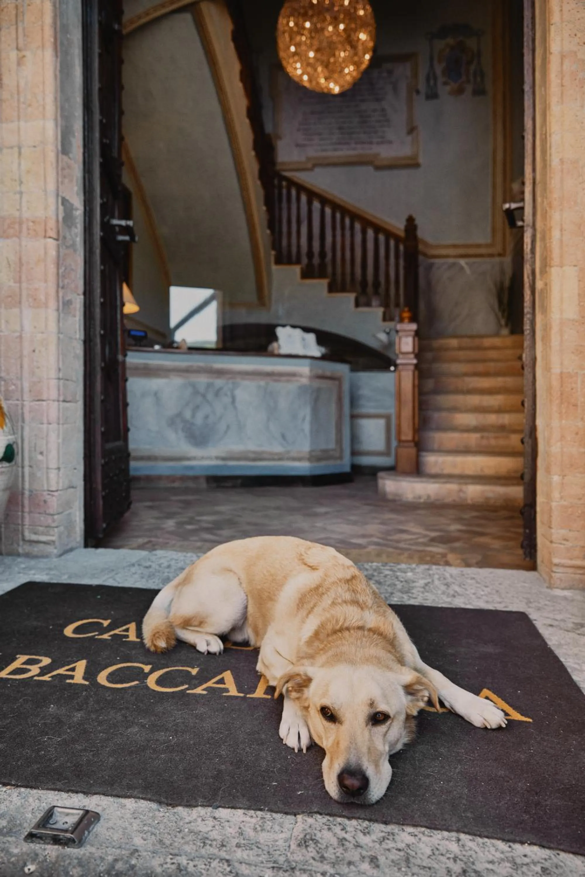 Facade/entrance in Castello di Baccaresca