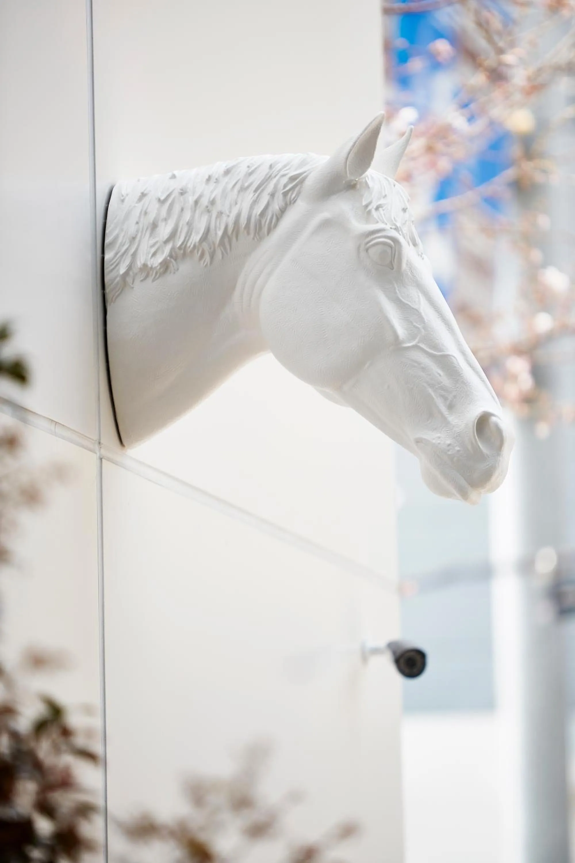 Property building in Hotel Hongdan