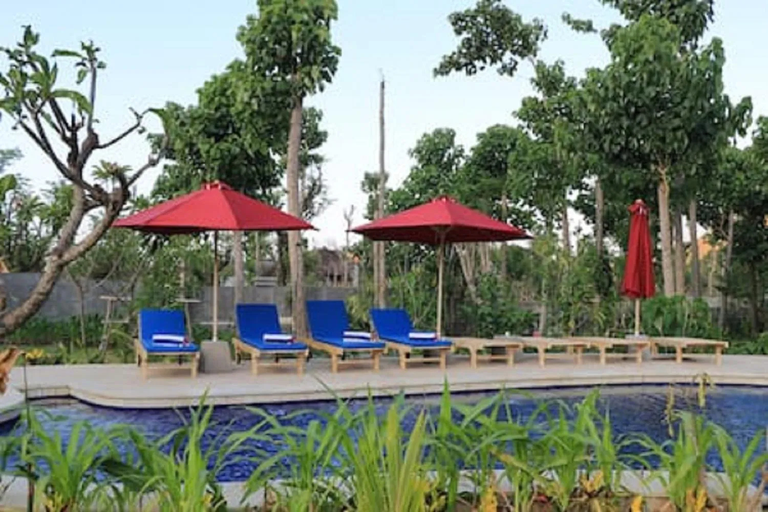 Swimming pool in Jaya Villa